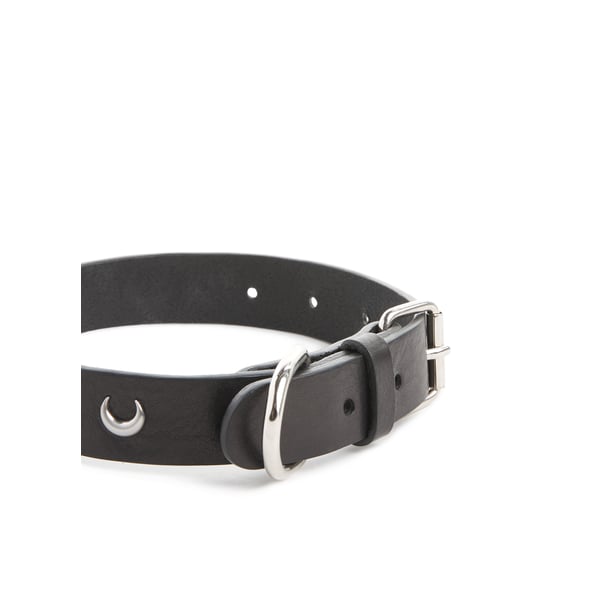 Collier pour chien en cuir