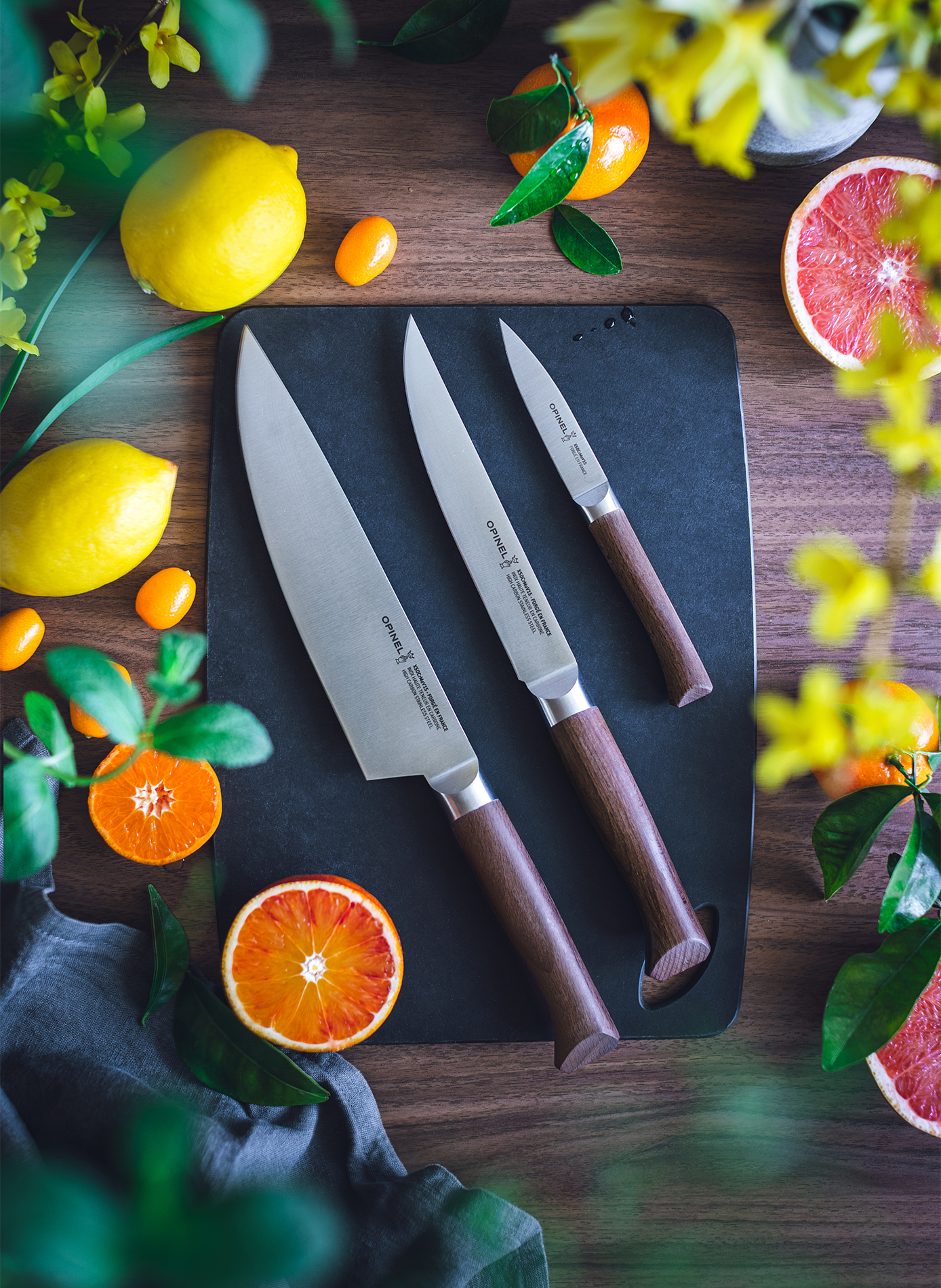 Set aus 3 Küchenmessern Les Forgés OPINEL Braun