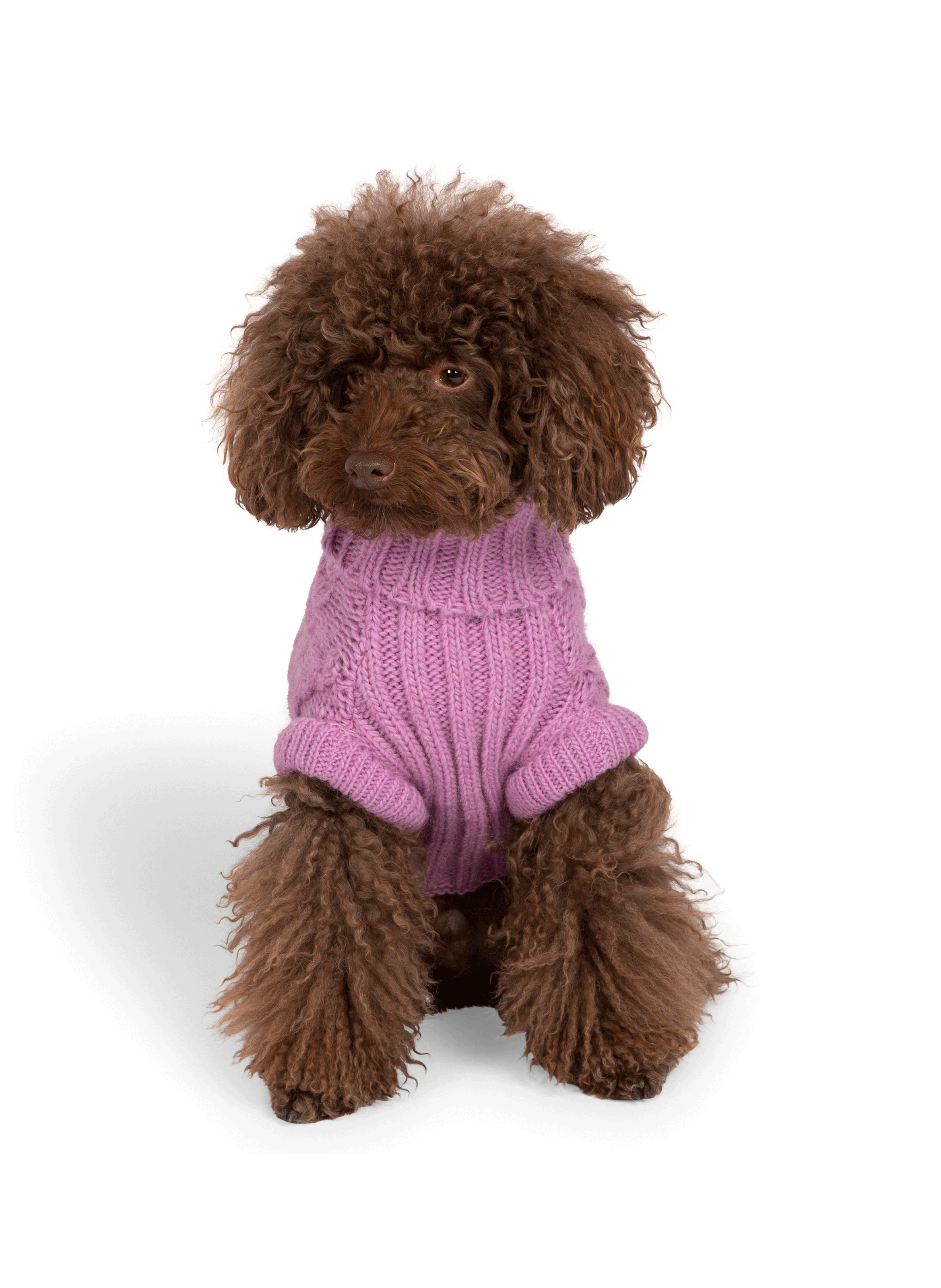 Pull pour chien FURMEY Rose