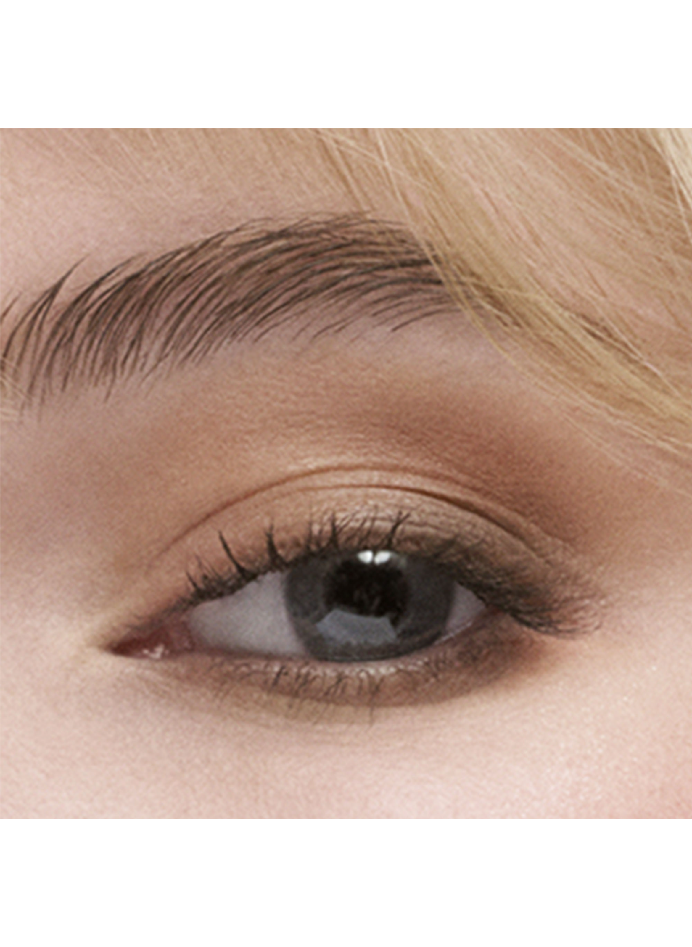 Ombre à Paupières 4 Couleurs - Ombre à Paupières ESTÉE LAUDER Gallery hop