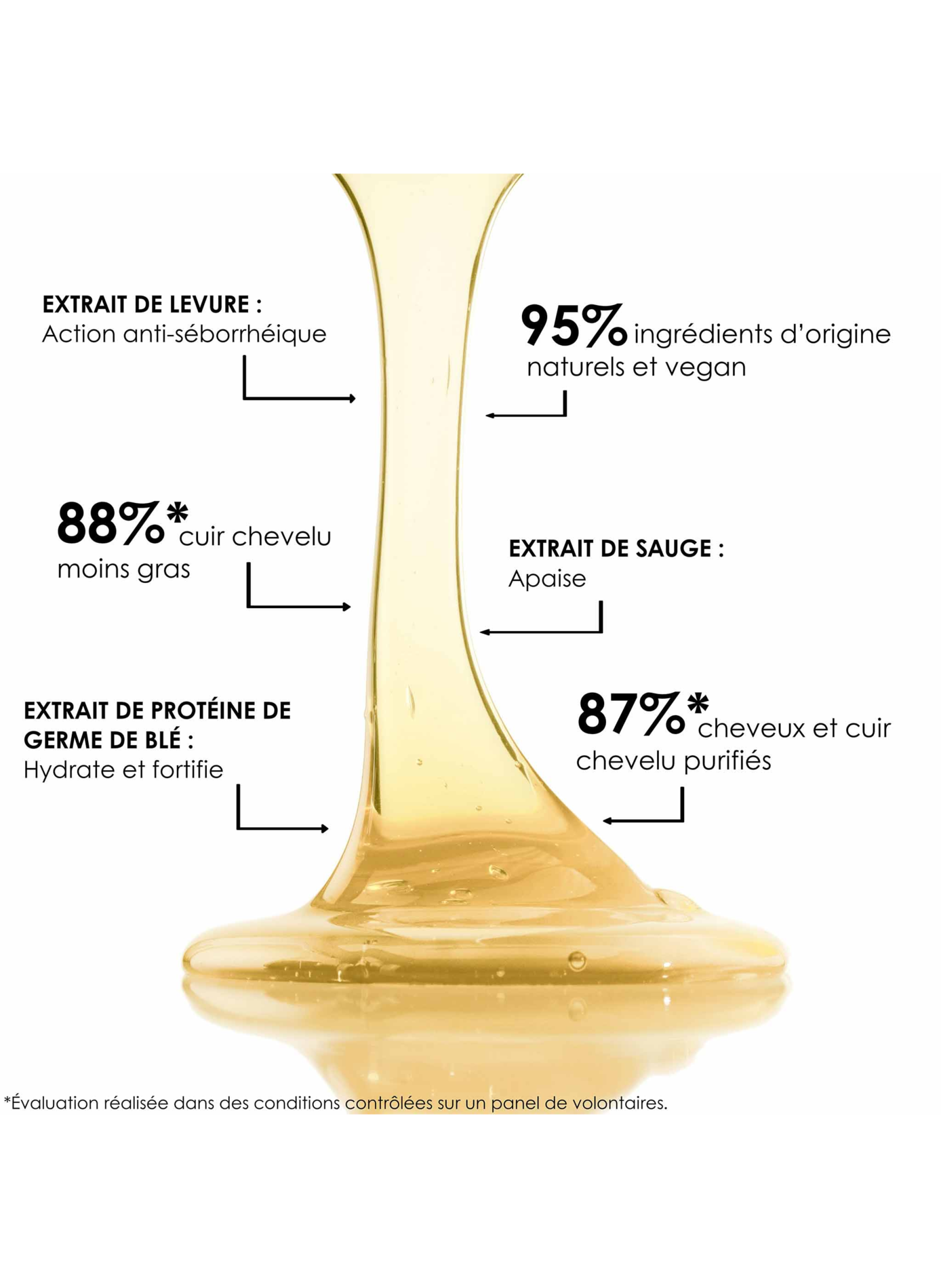 Shampooing Bain TS LEONOR GREYL No color