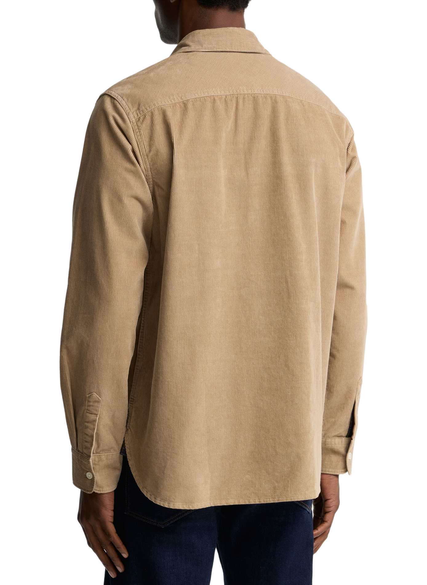 Straight classic ribbed collar shirt in blended cotton BARBOUR Beige
