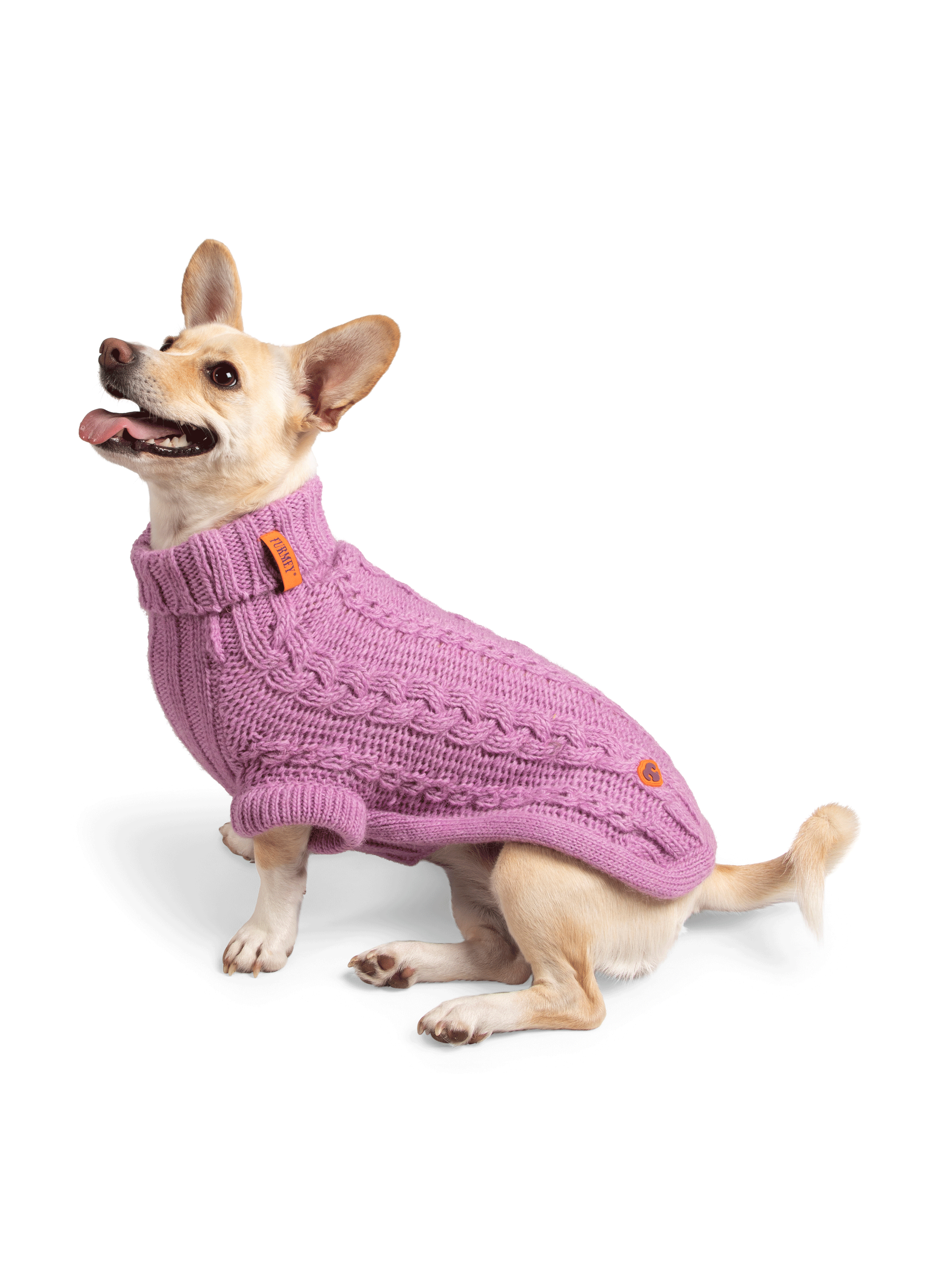 Pull pour chien FURMEY Rose