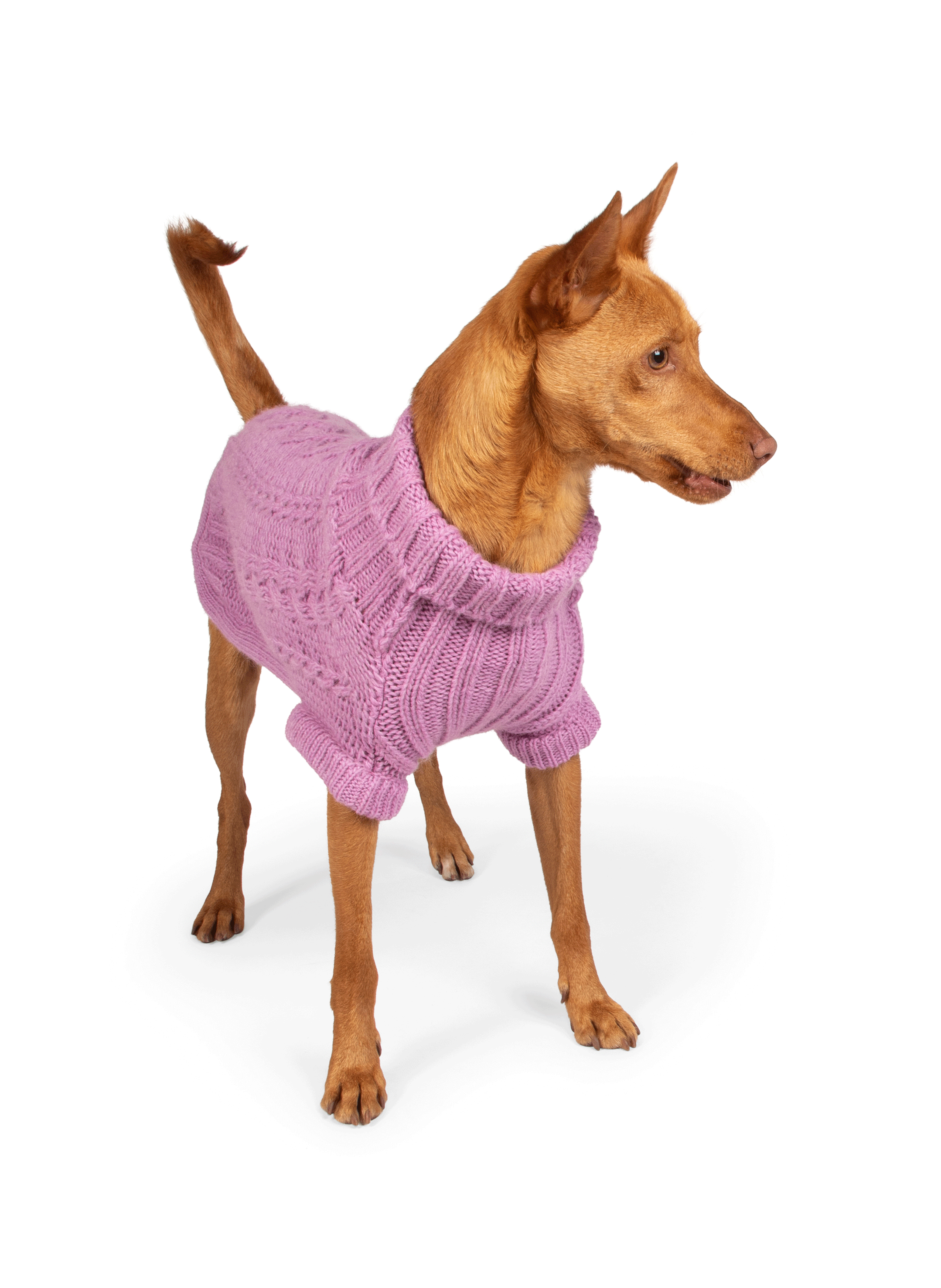 Pull pour chien FURMEY Rose