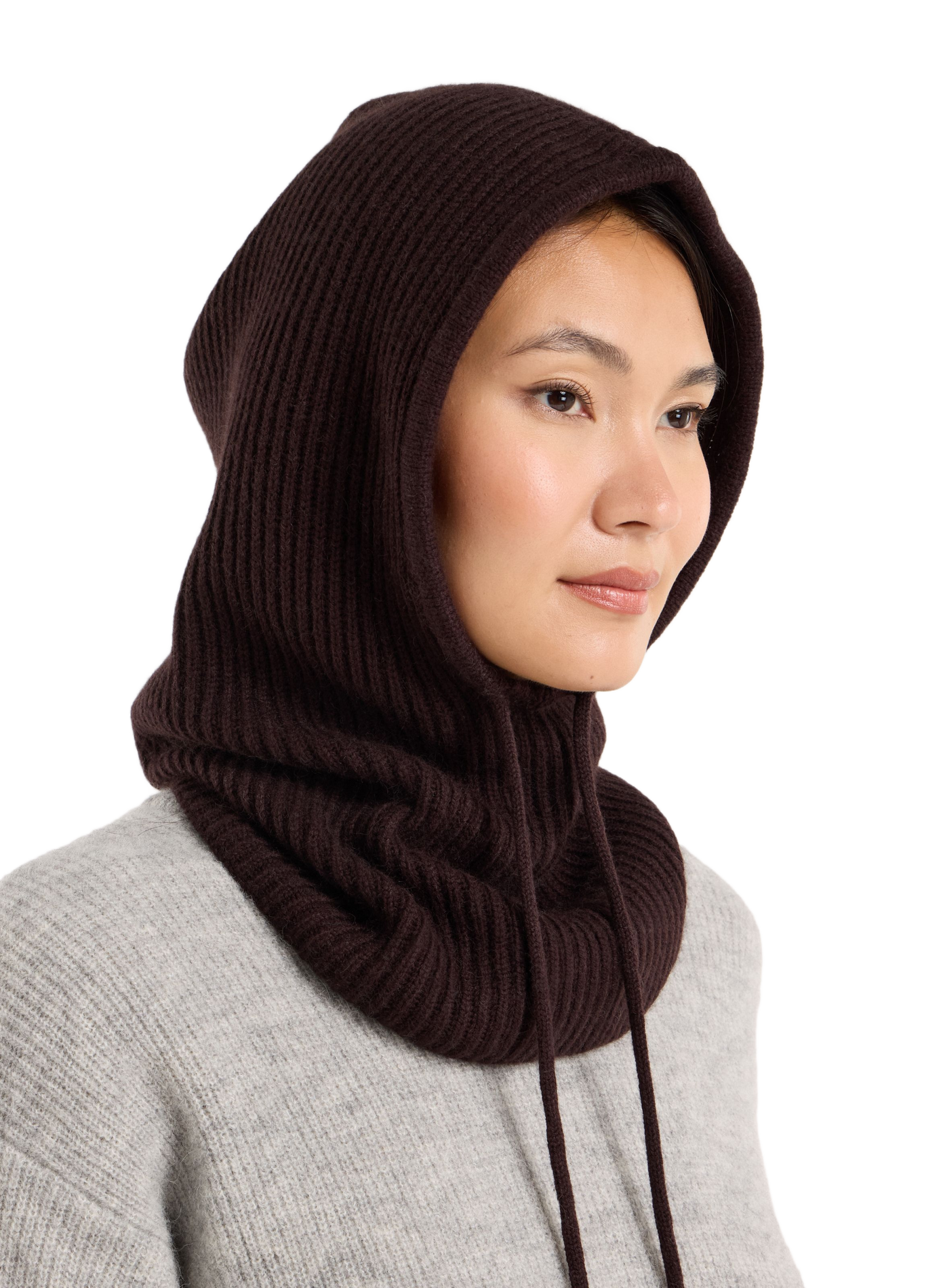 Solid Hoodie SAISON 1865 Brown