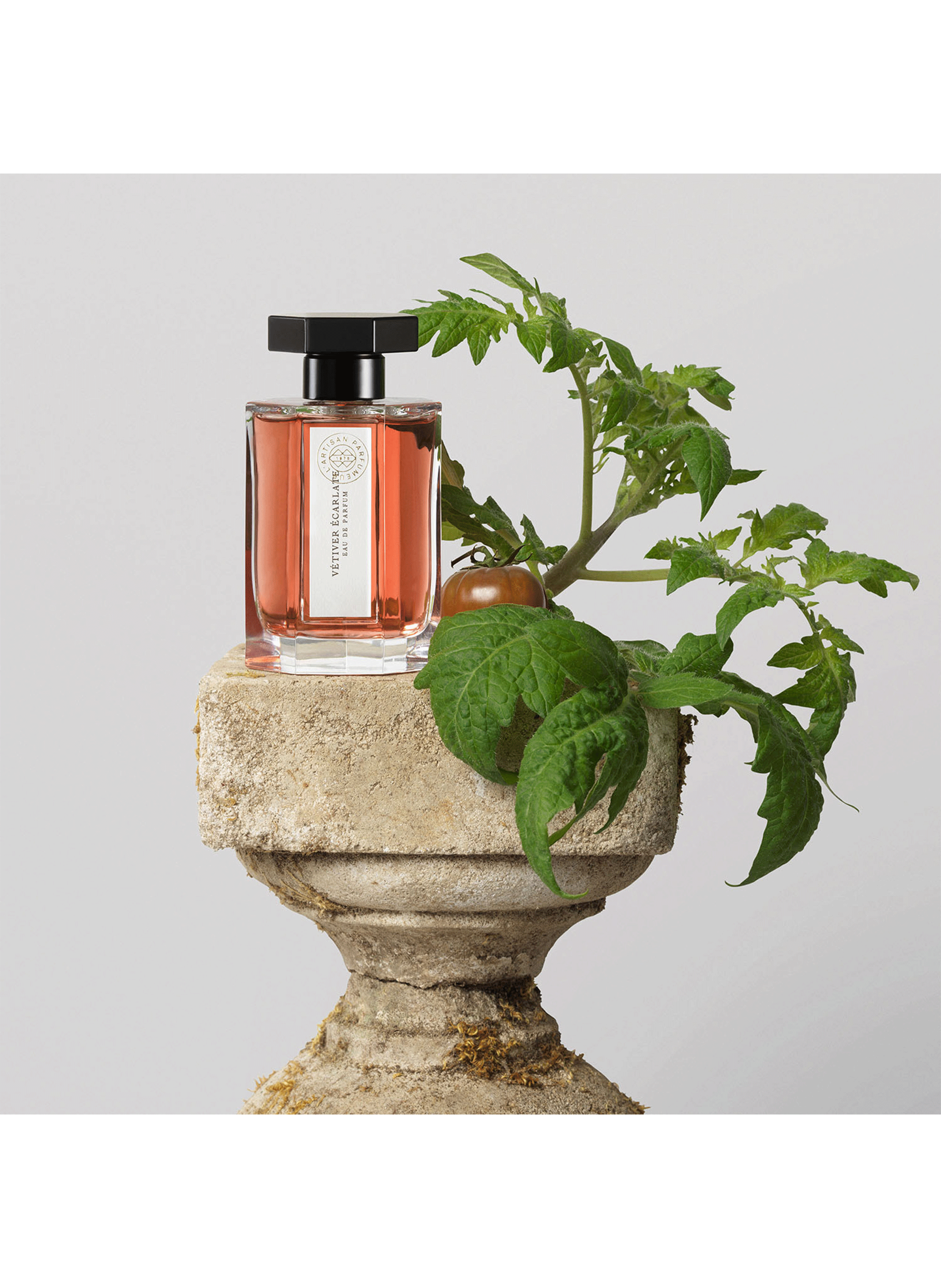 Vétiver Écarlate - Eau de parfum L'ARTISAN PARFUMEUR No color