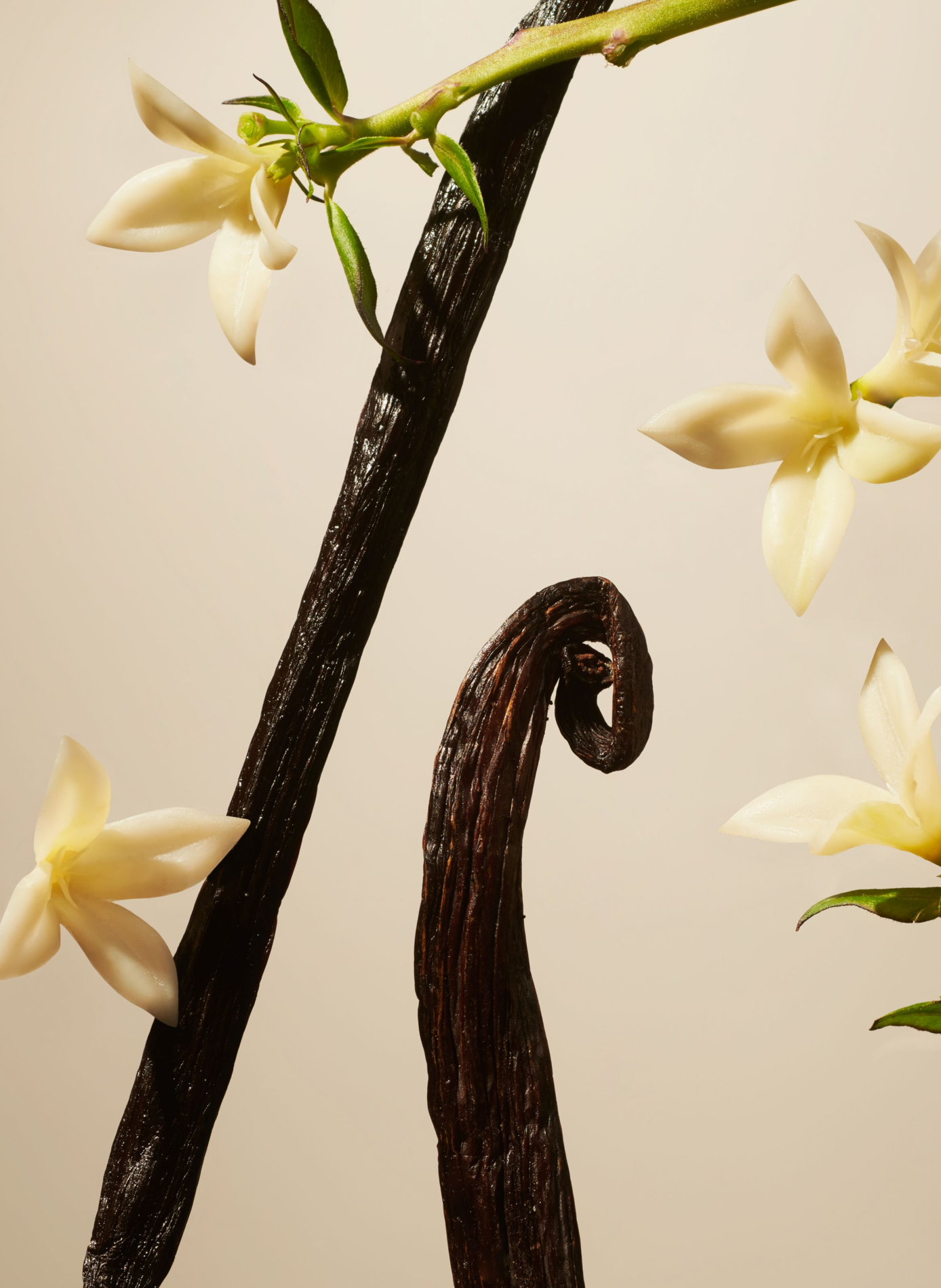 Suede Vanilla - Diffuseur de Parfum RITUALS No color