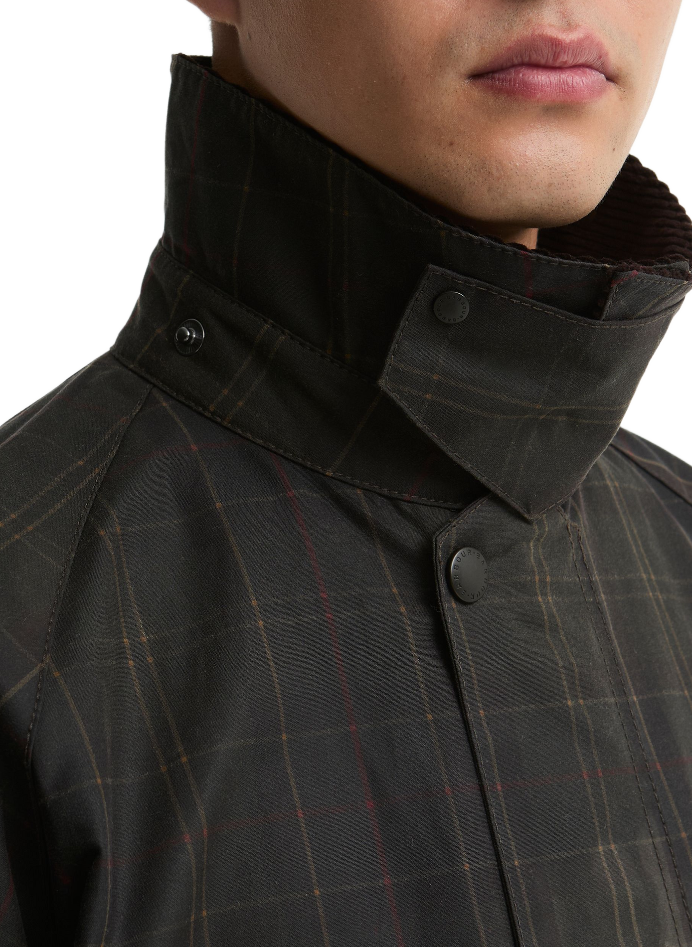 Straight jacket with contrasting collar in cotton BARBOUR Green