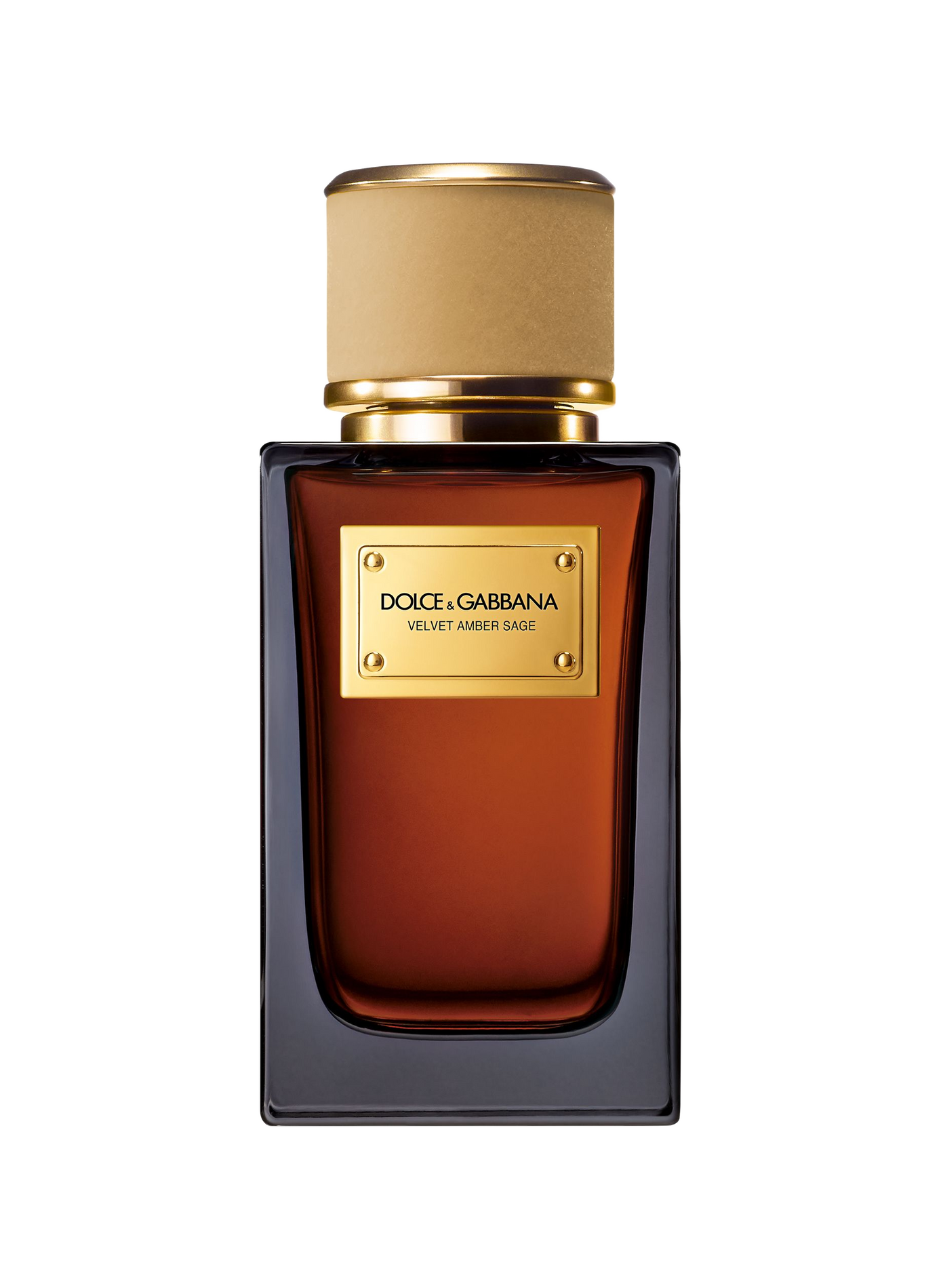 Samt Amber Salbei - Eau de Parfum DOLCE & GABBANA No color