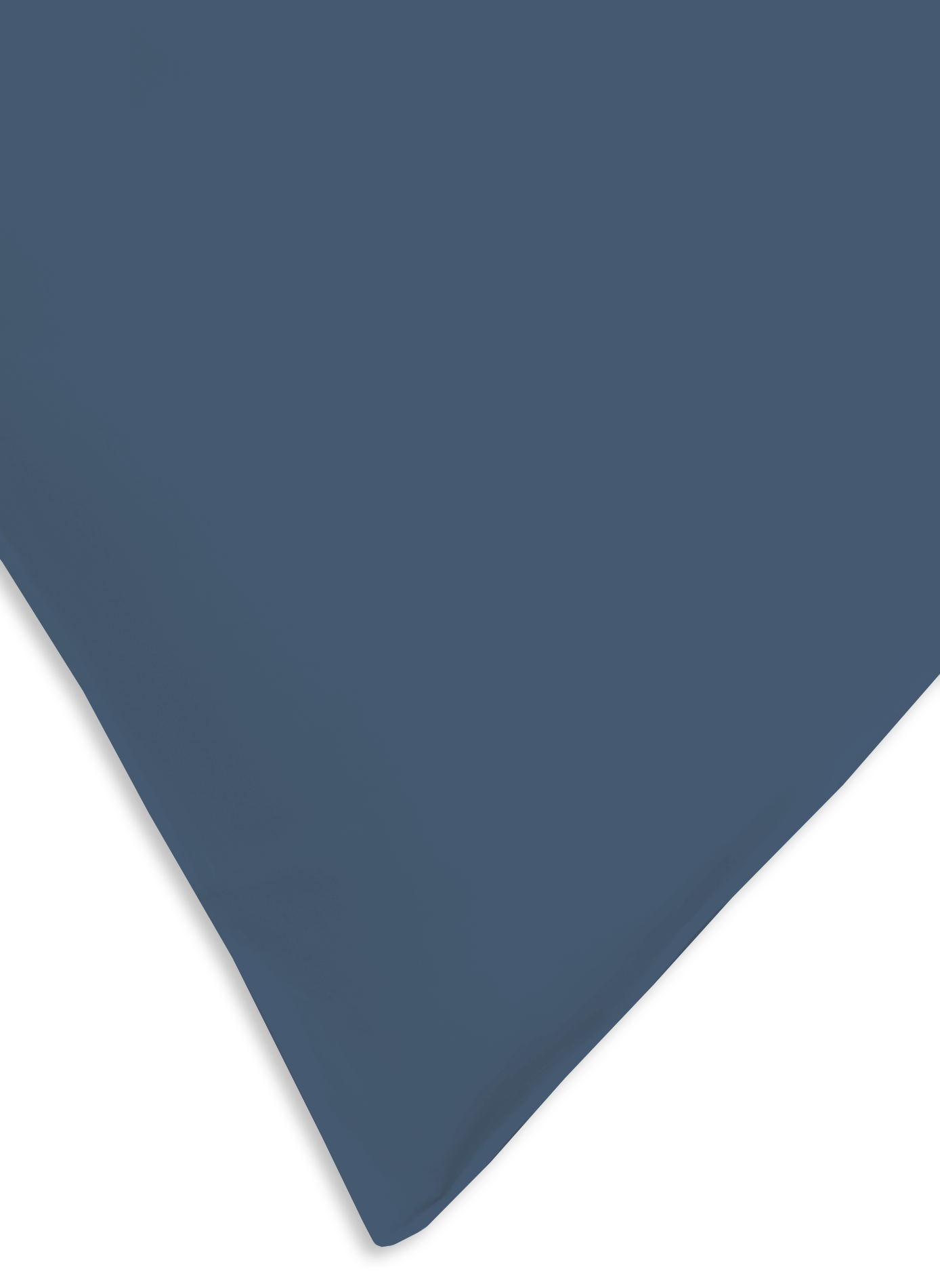 Cotton satin pillowcase AU PRINTEMPS PARIS Blue