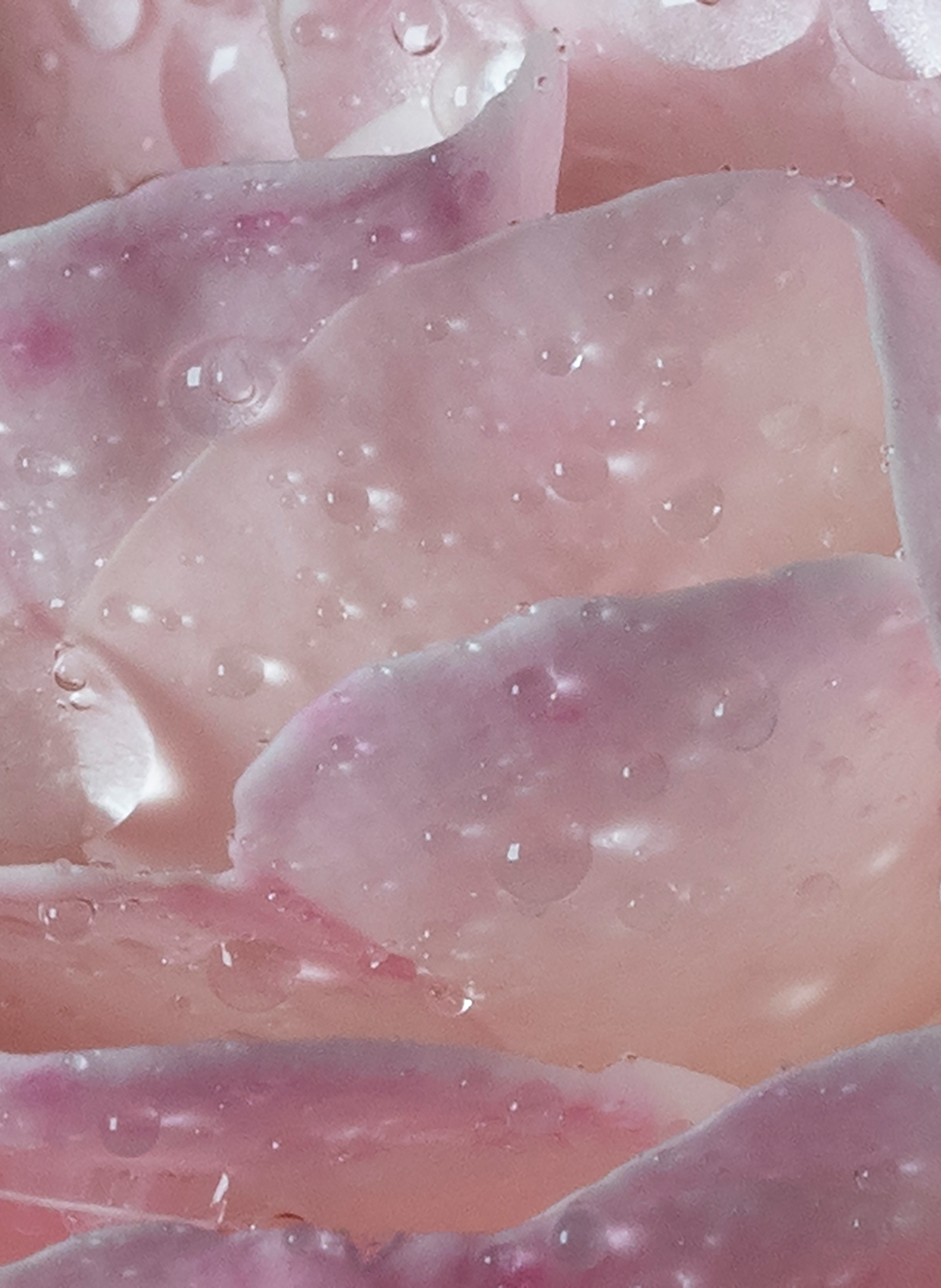 Rose Water - Eau de Toilette MAISON FRANCIS KURKDJIAN No color