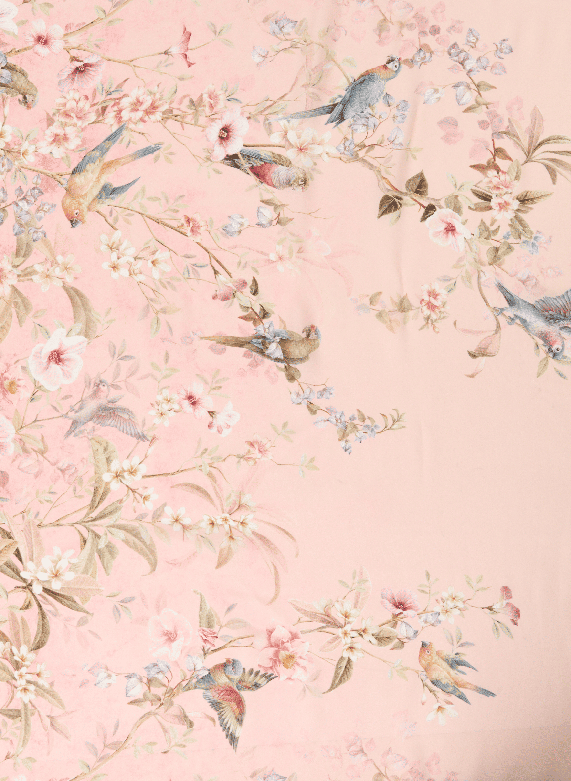 Etole imprimée en soie ZIMMERMANN Multicolore