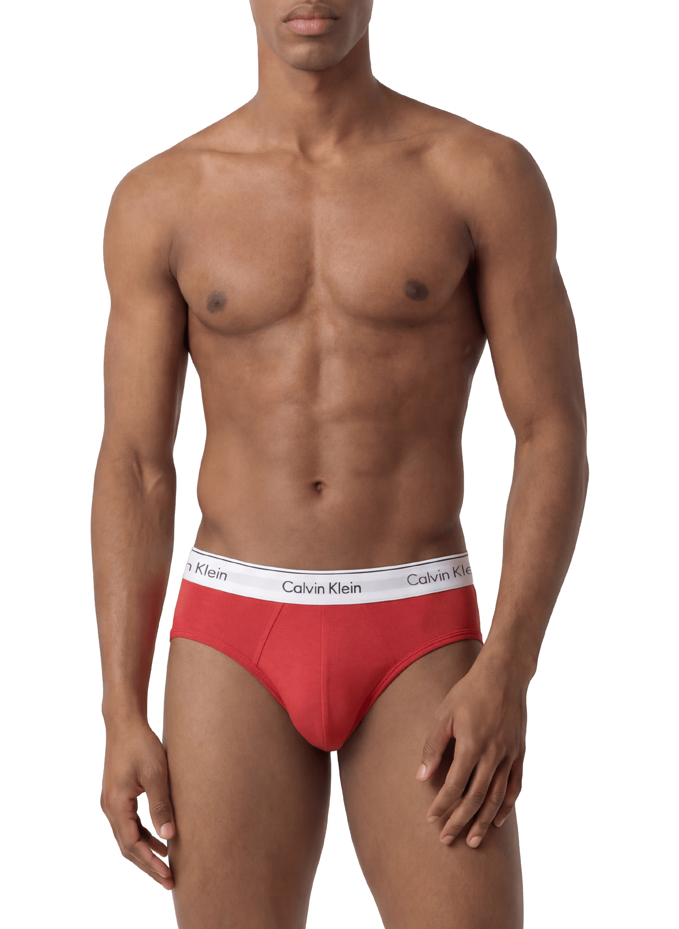 Lot de 3 slips  CALVIN KLEIN Multicolore