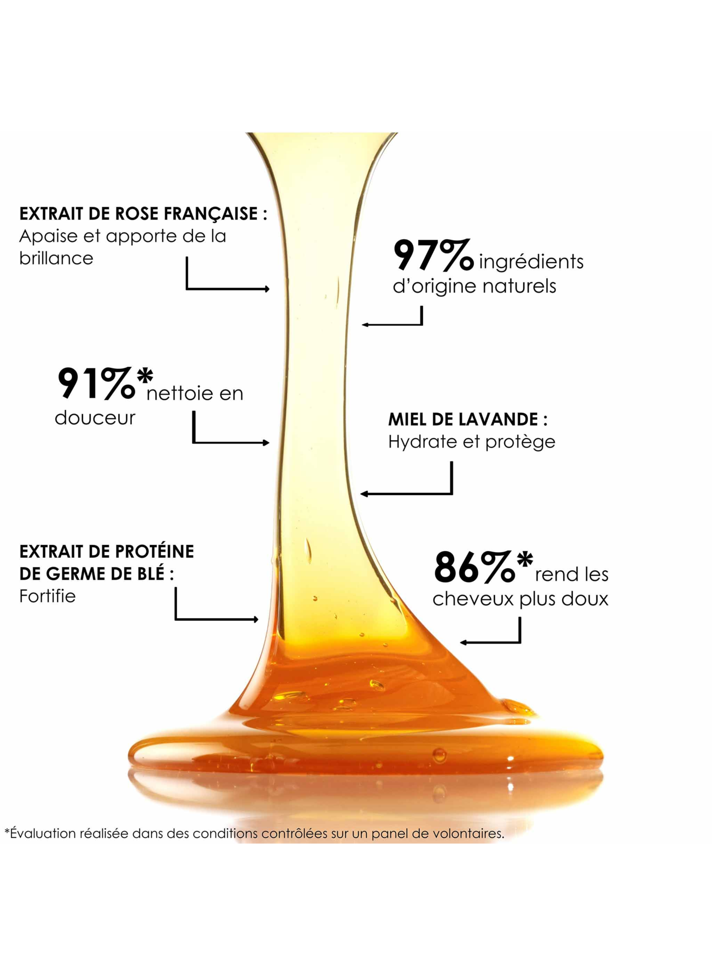 Shampooing au Miel LEONOR GREYL No color