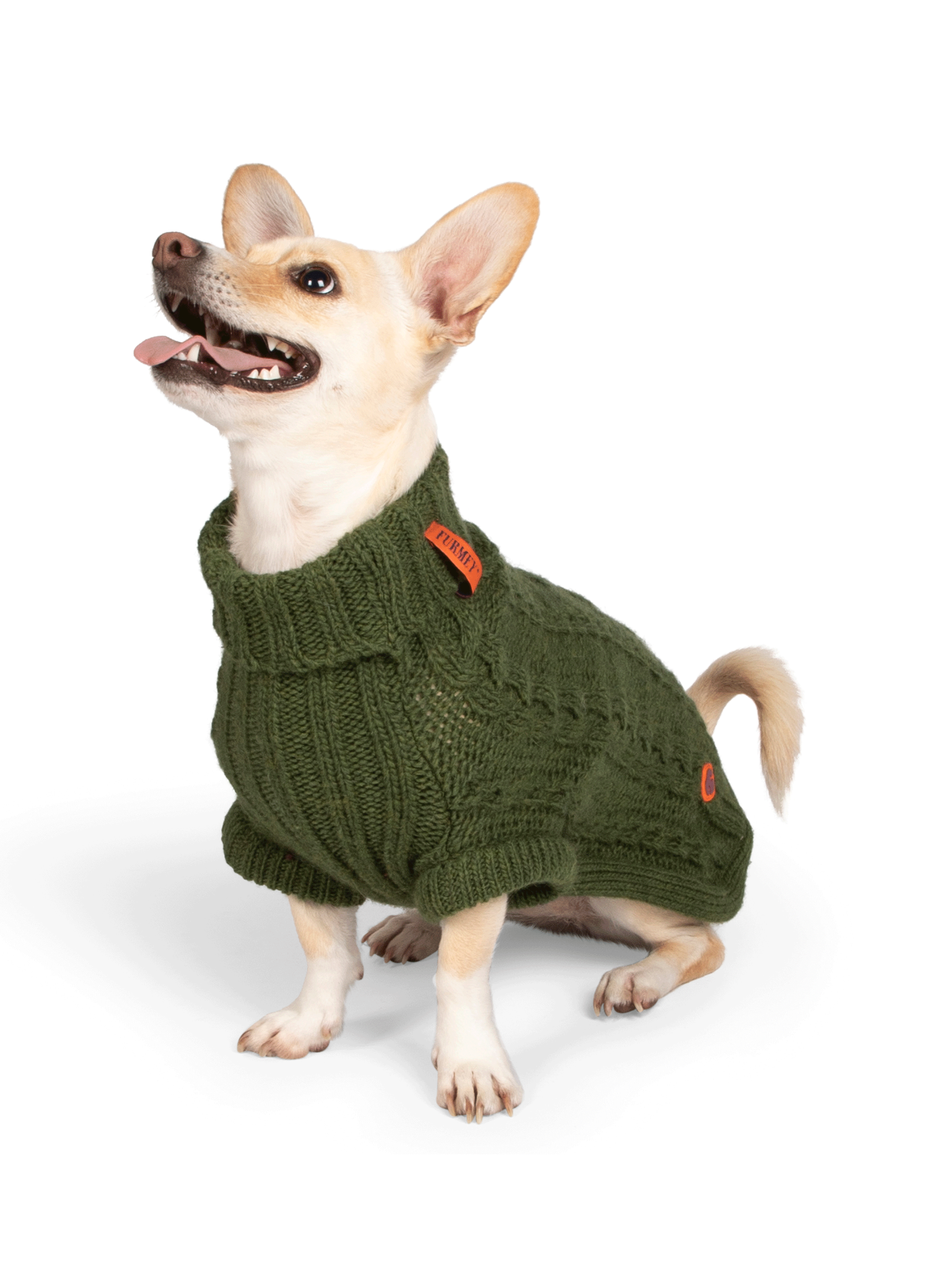 Pull pour chien FURMEY Vert