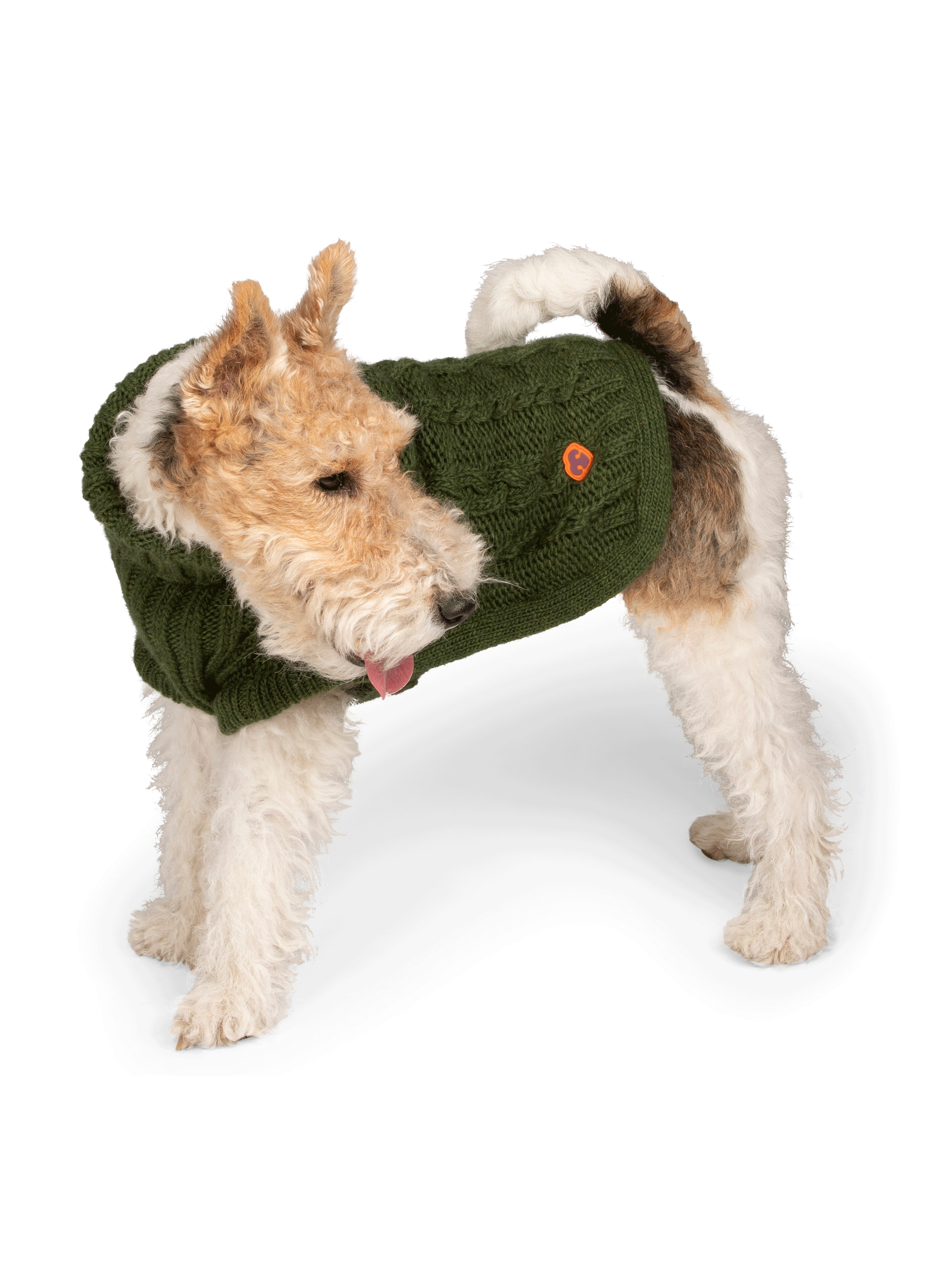 Pull pour chien FURMEY Vert