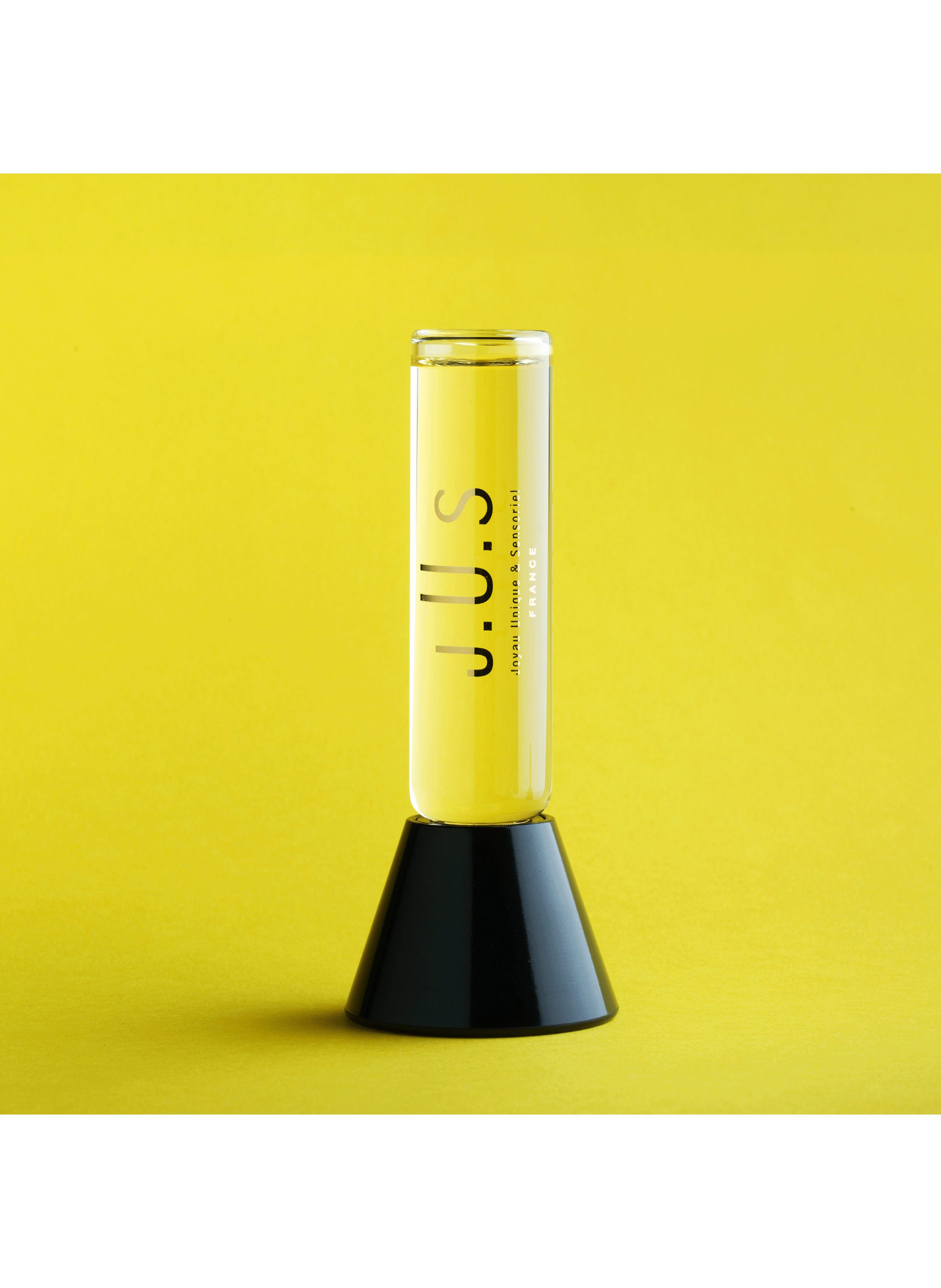 Gingerlise perfume J.U.S No color