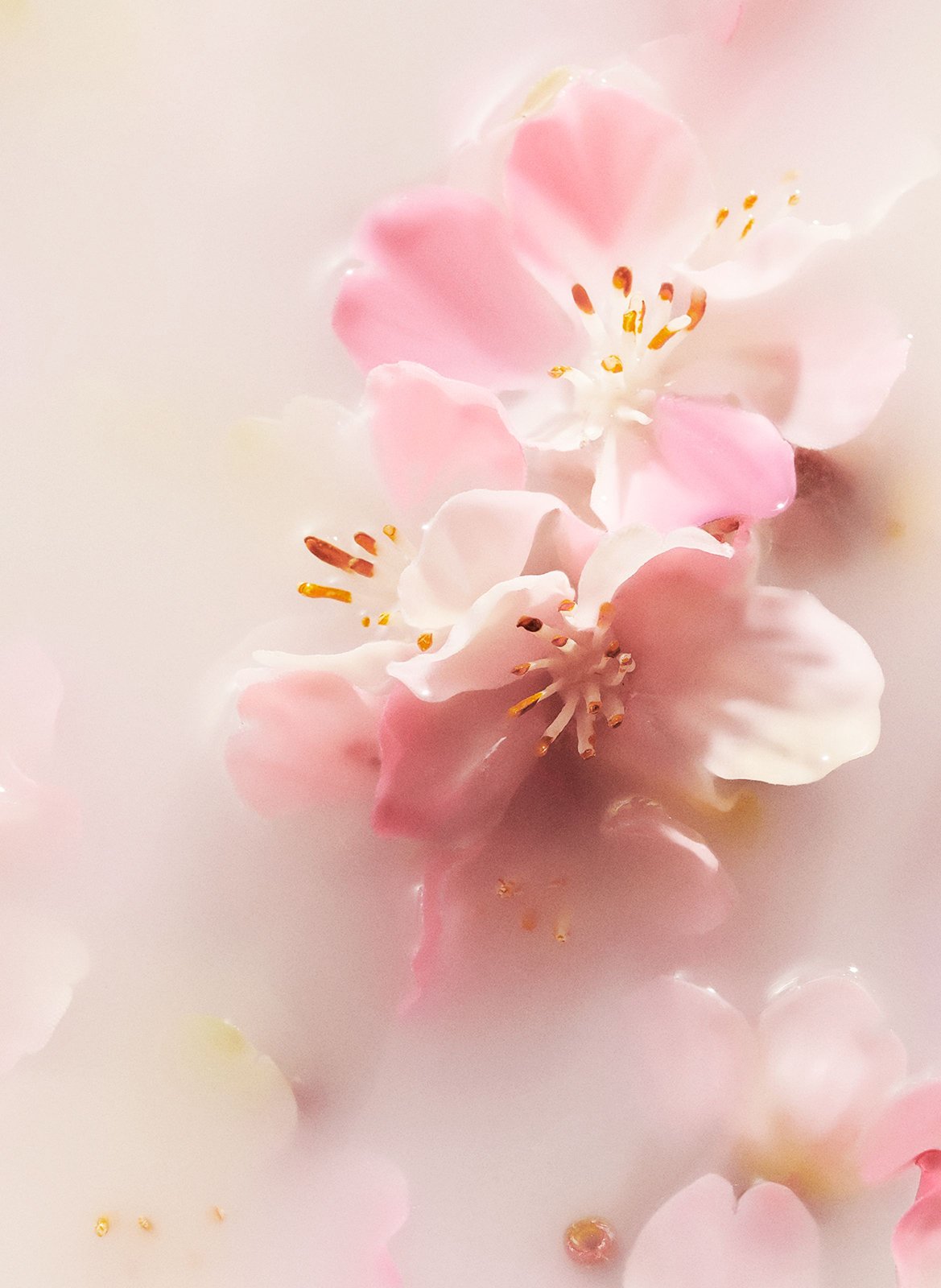 The Ritual of Sakura - Scented reeds RITUALS No color