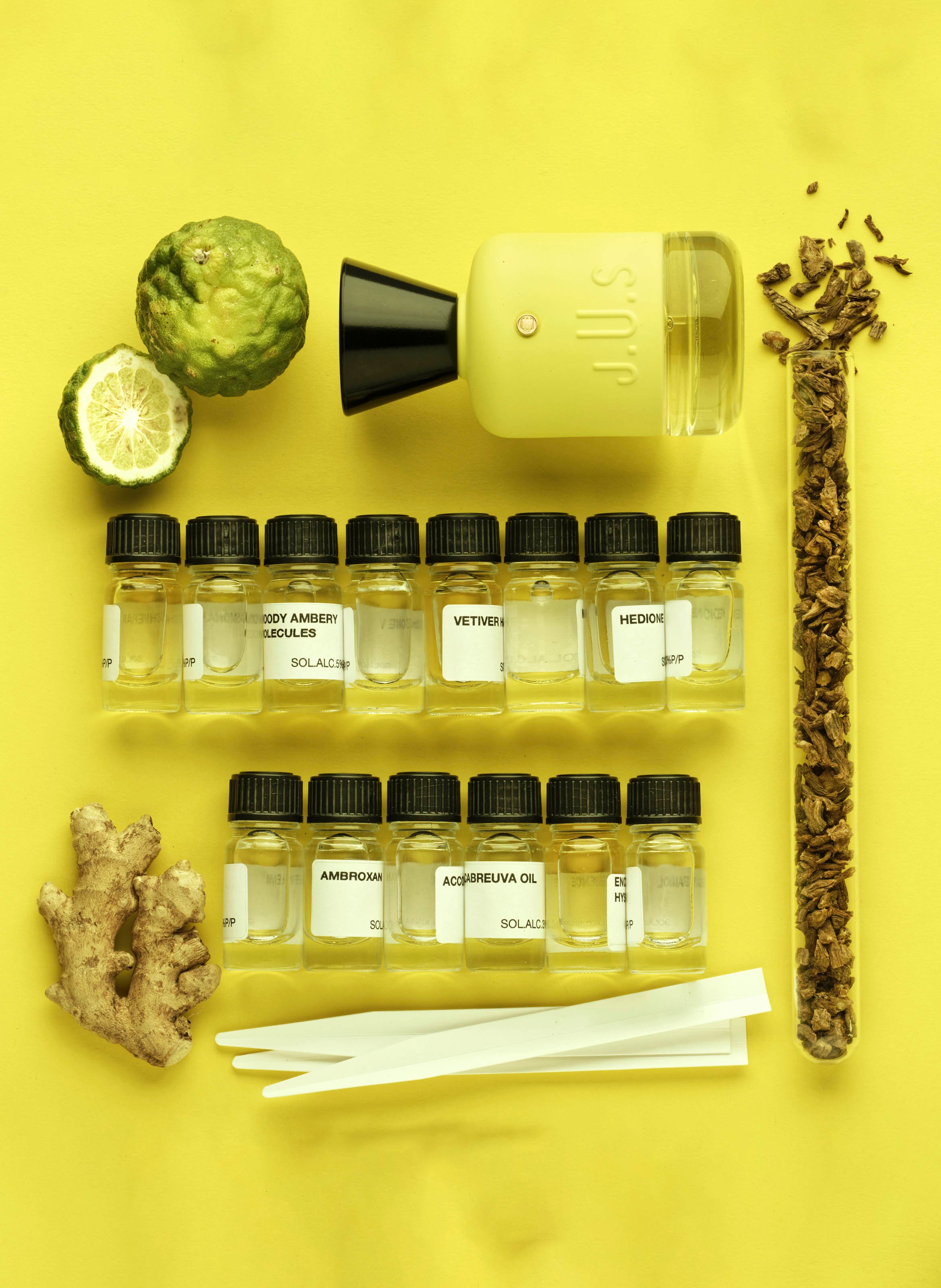 Gingerlise perfume J.U.S No color