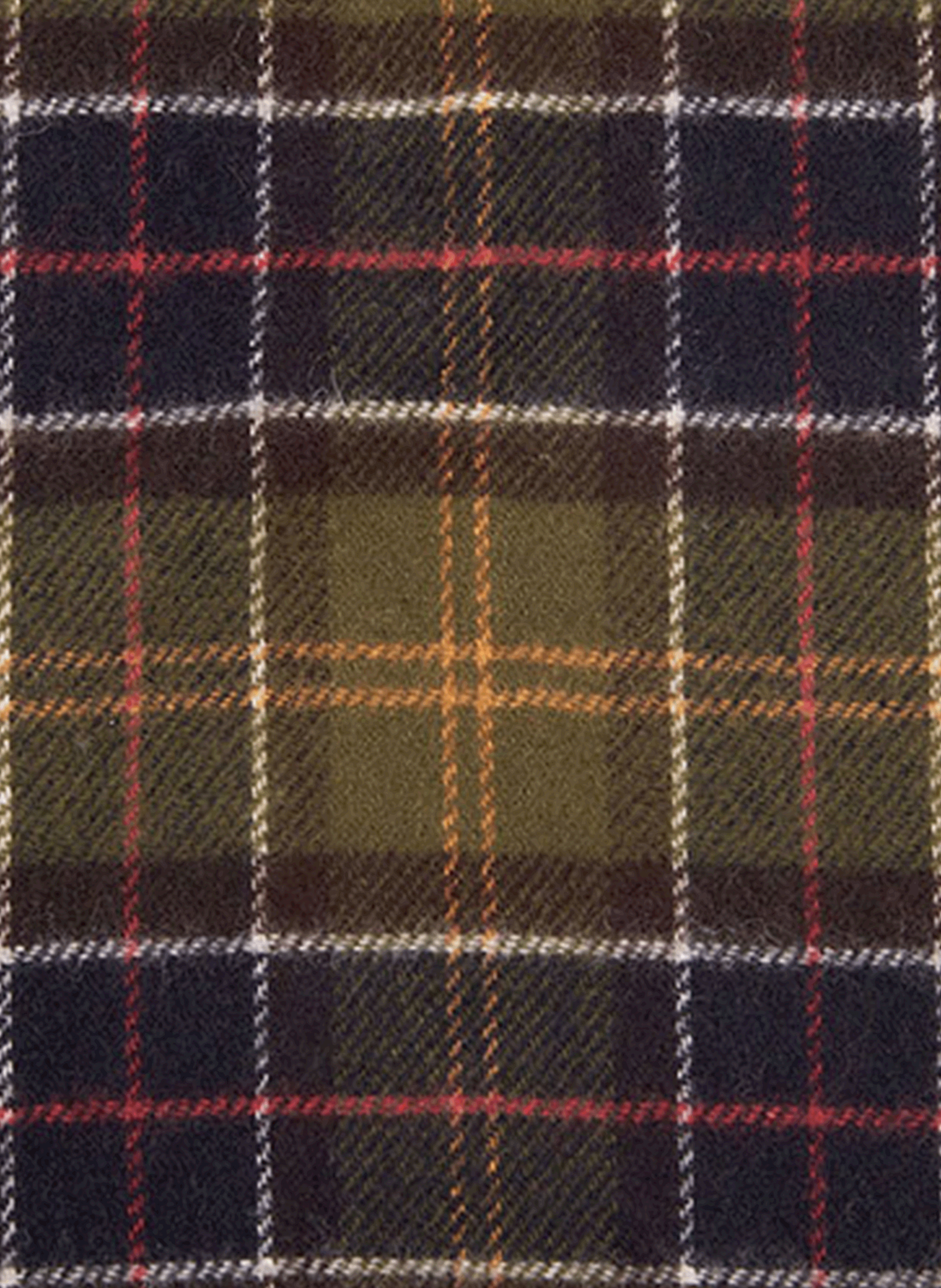 Tartan wool scarf  BARBOUR Green