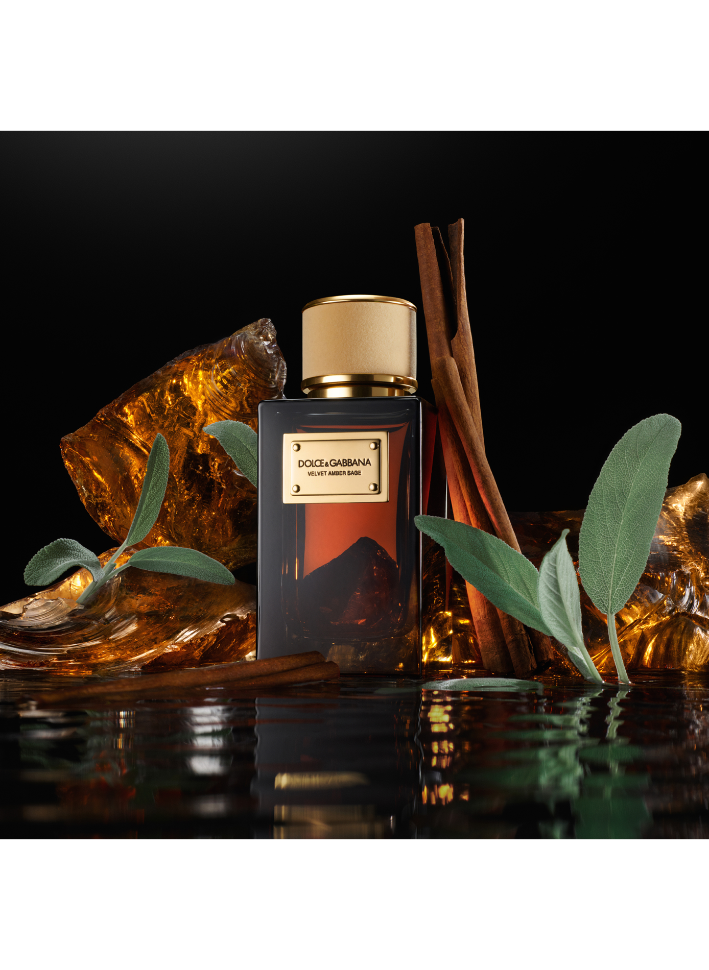 Samt Amber Salbei - Eau de Parfum DOLCE & GABBANA No color