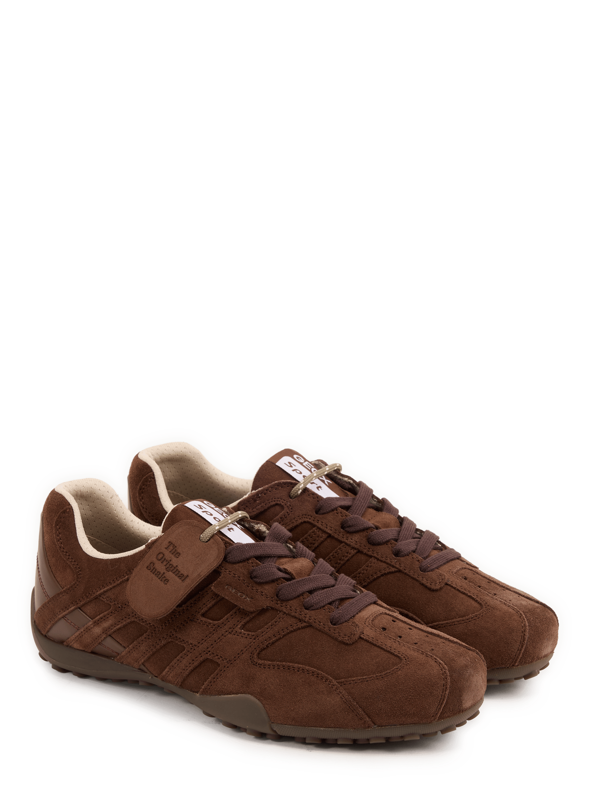 Lage sneakers SNAKE WOMAN van gemengd leer. GEOX Bruin