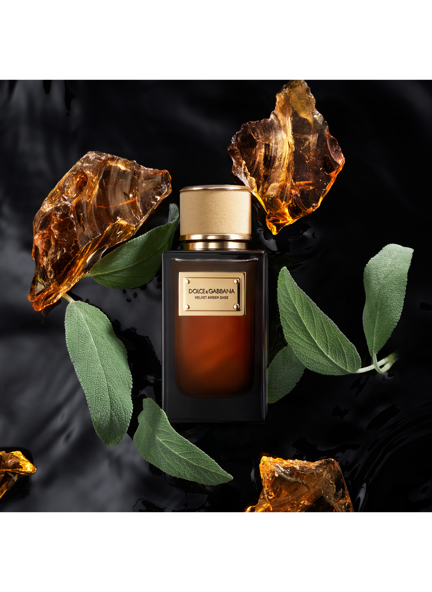 Samt Amber Salbei - Eau de Parfum DOLCE & GABBANA No color