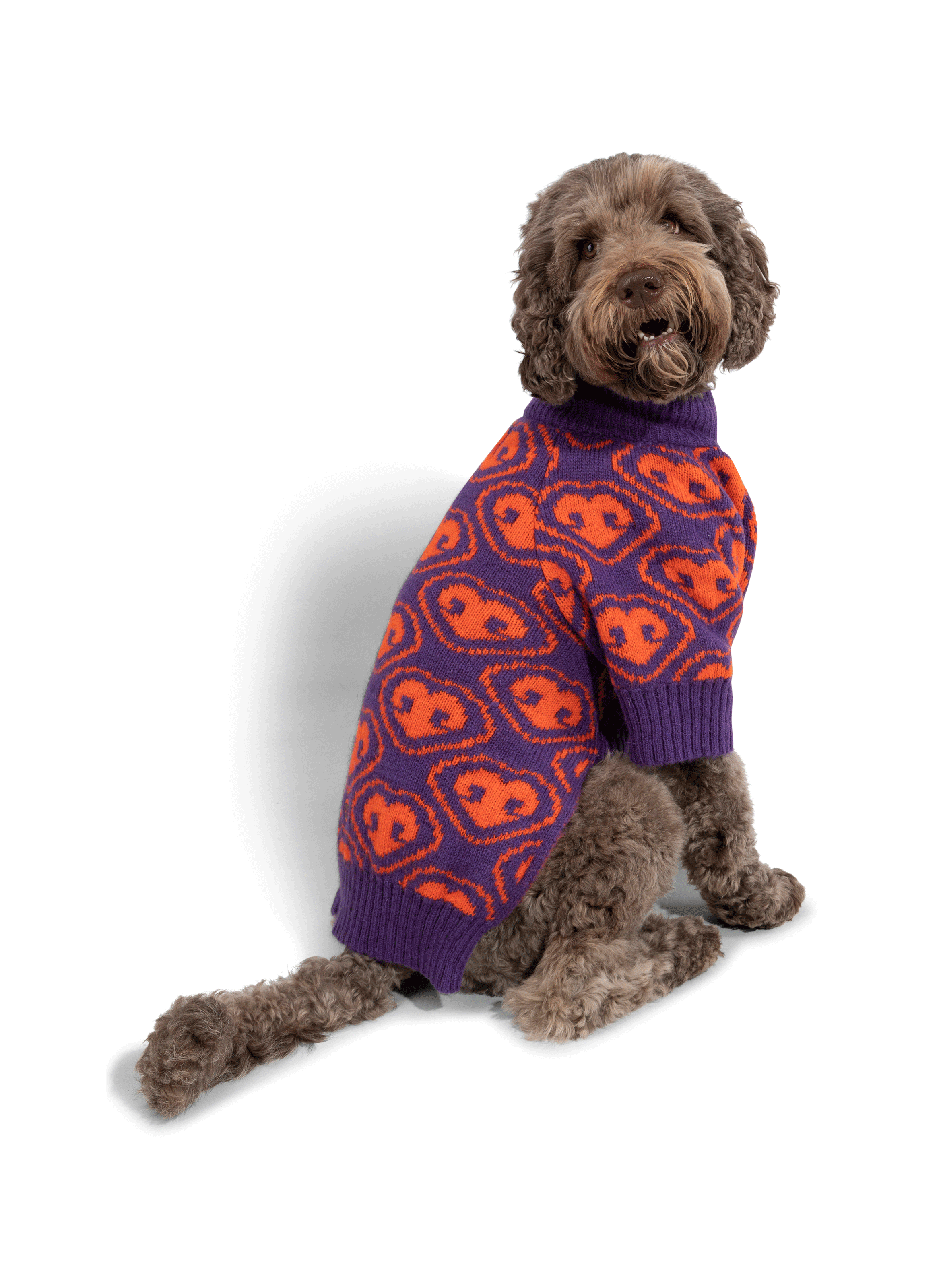 Pull pour chien FURMEY Violet