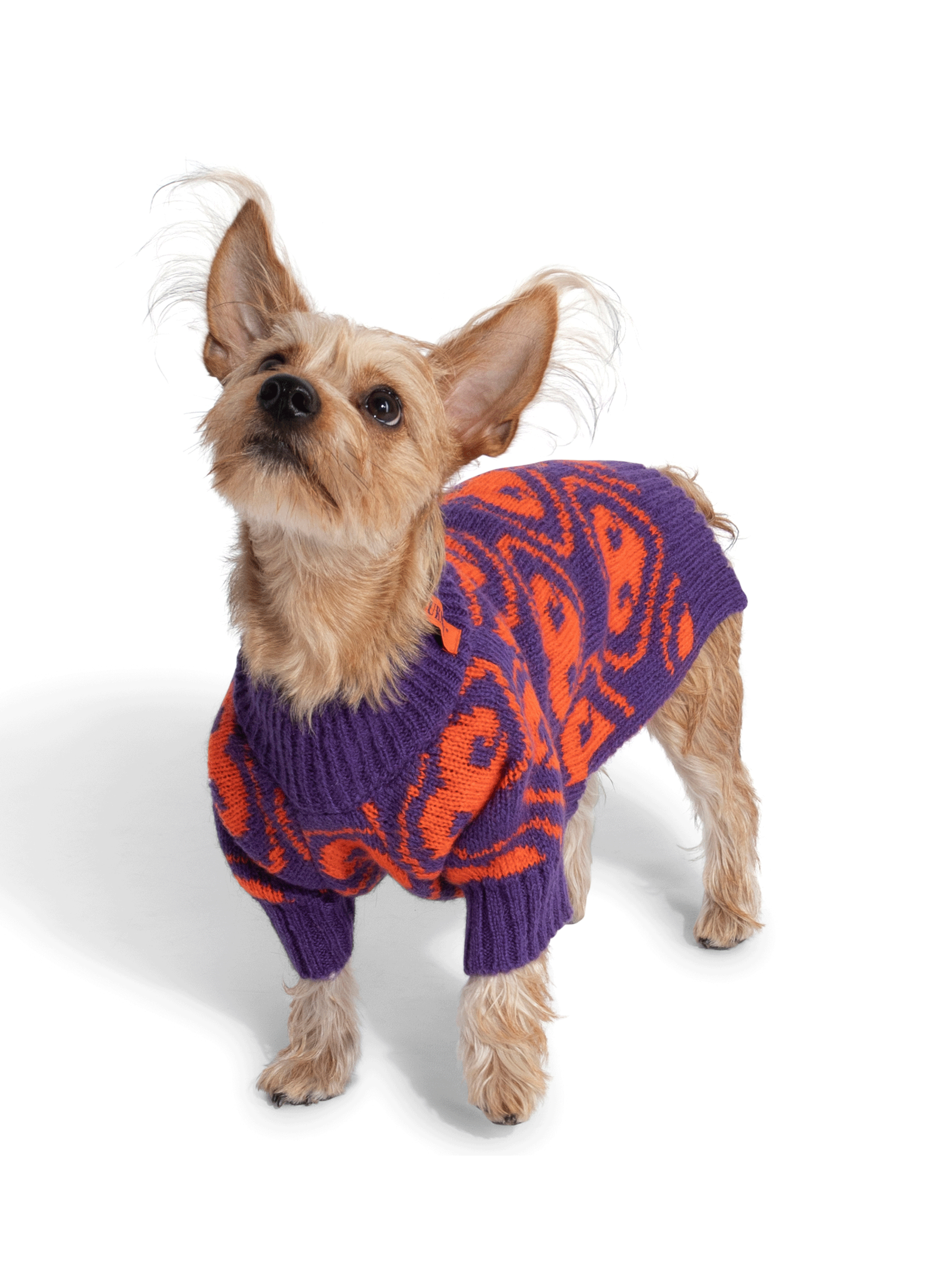Pull pour chien FURMEY Violet