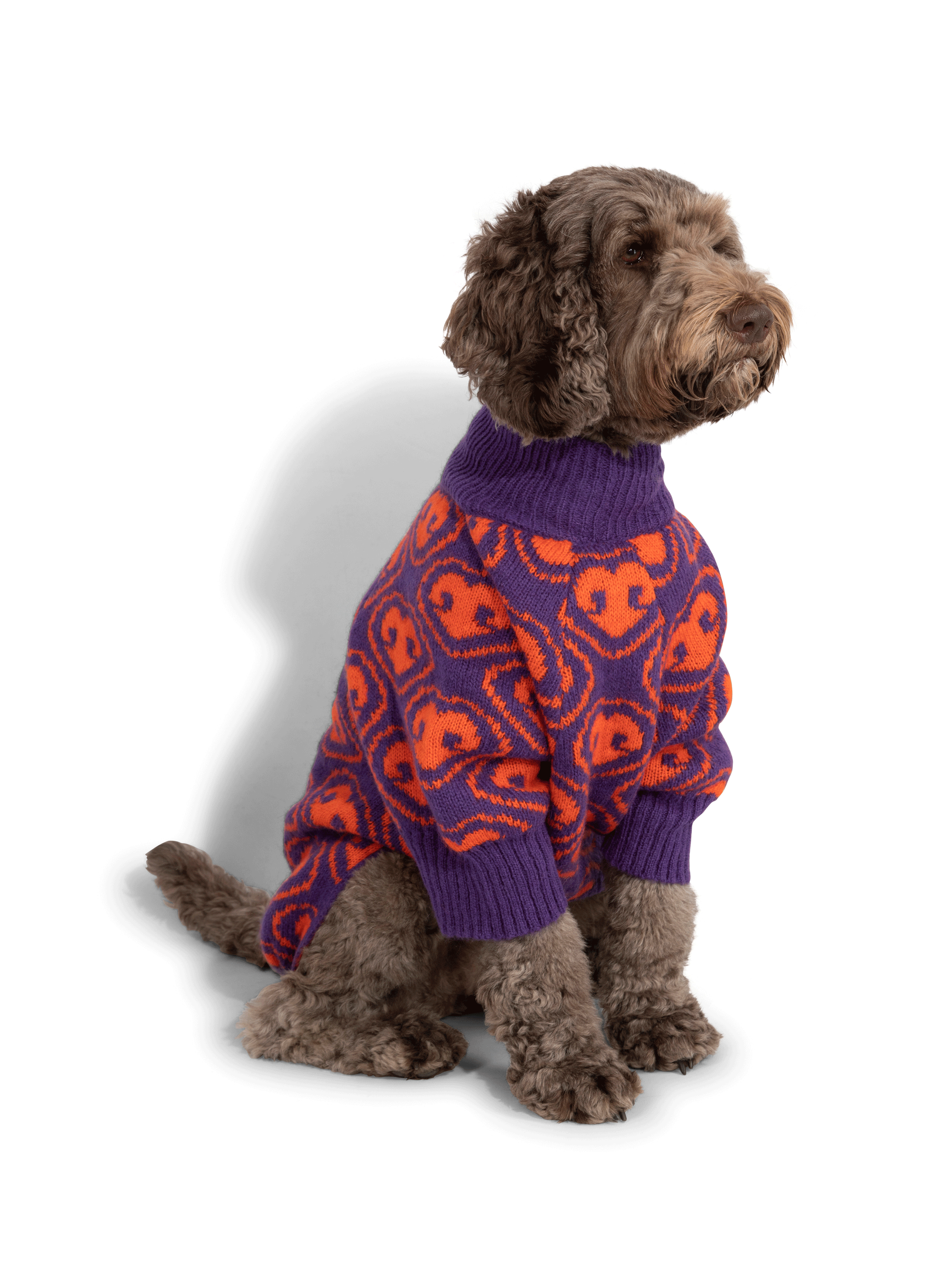 Pull pour chien FURMEY Violet