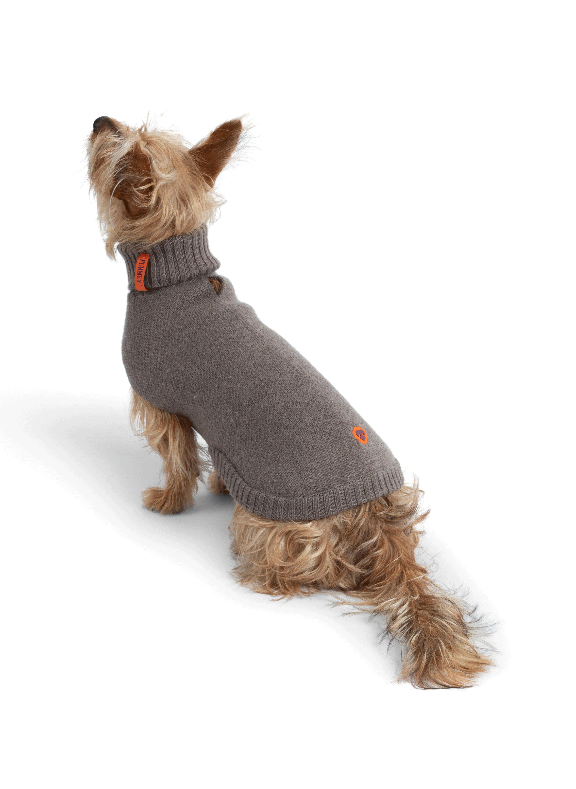 Pull pour chien FURMEY Beige
