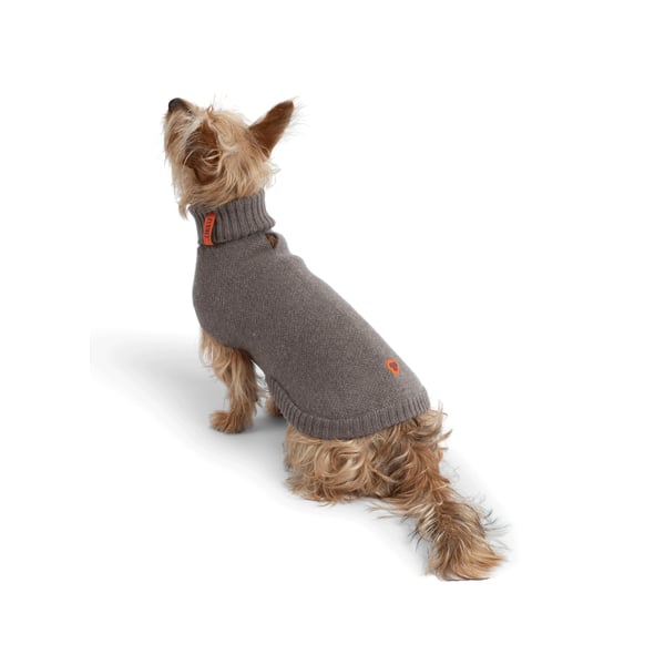Pull pour chien