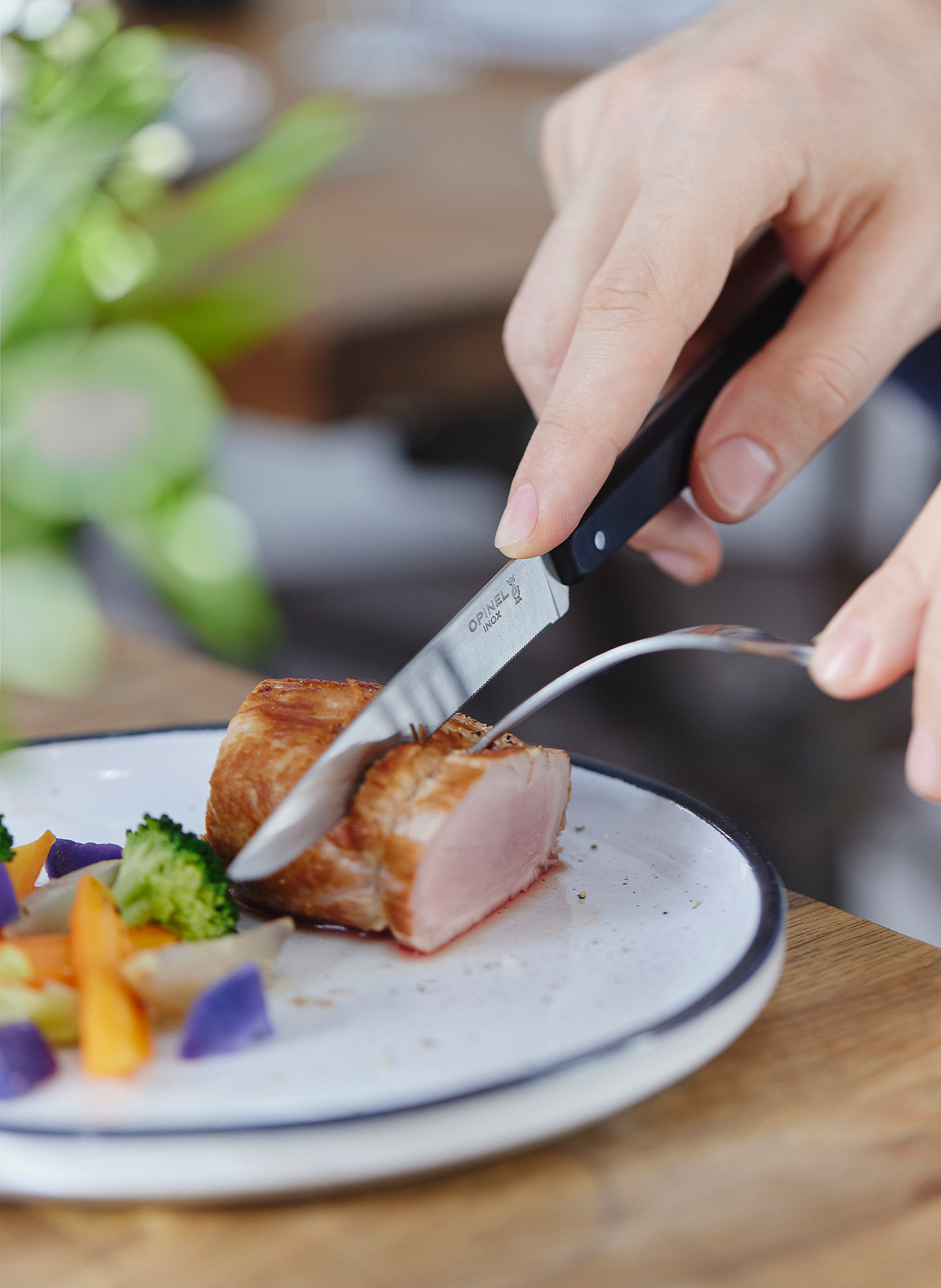 Coffret de 4 couteaux Bon Appétit OPINEL Noir
