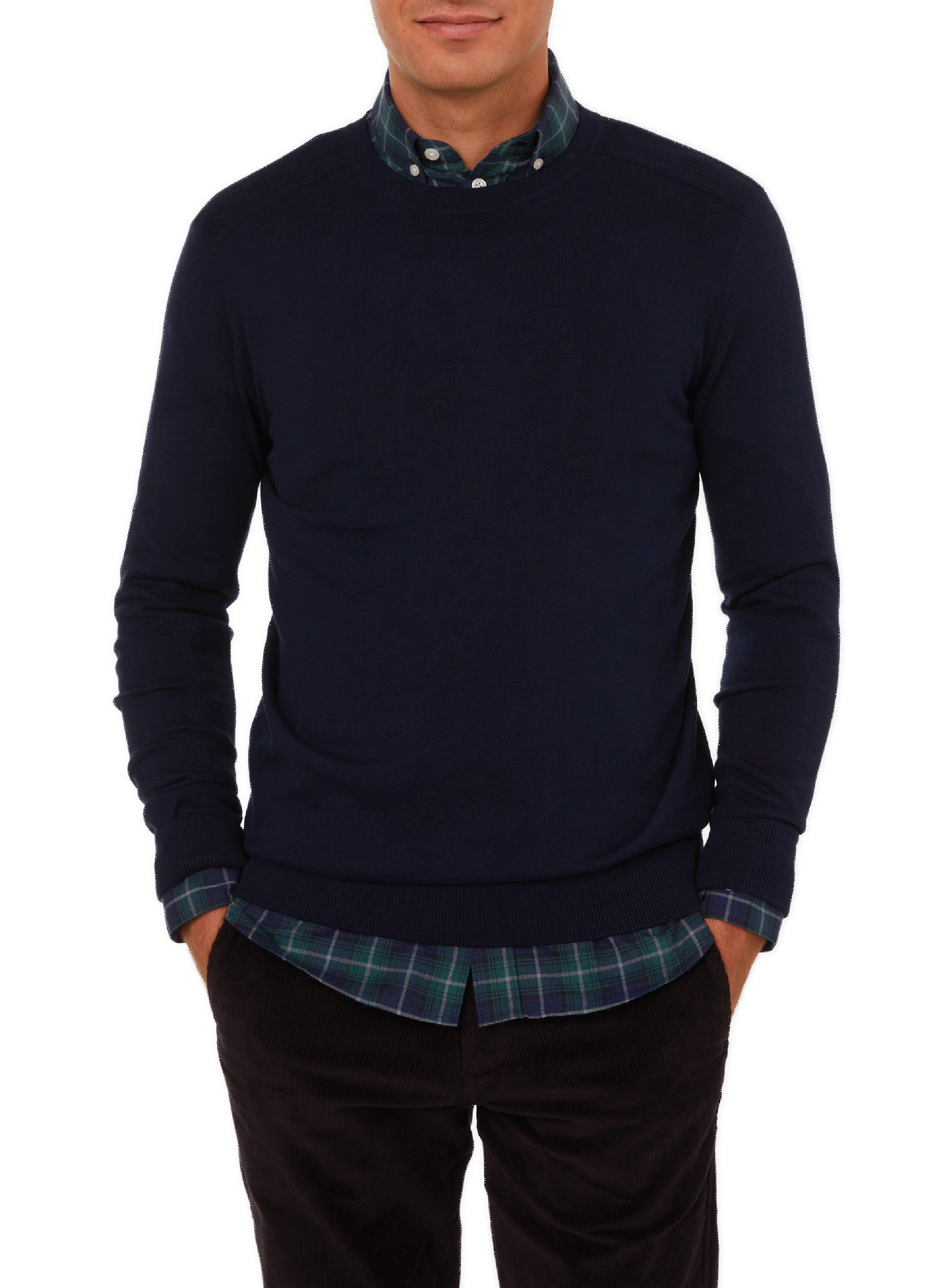 SELECTED Pull en coton pima Bleu