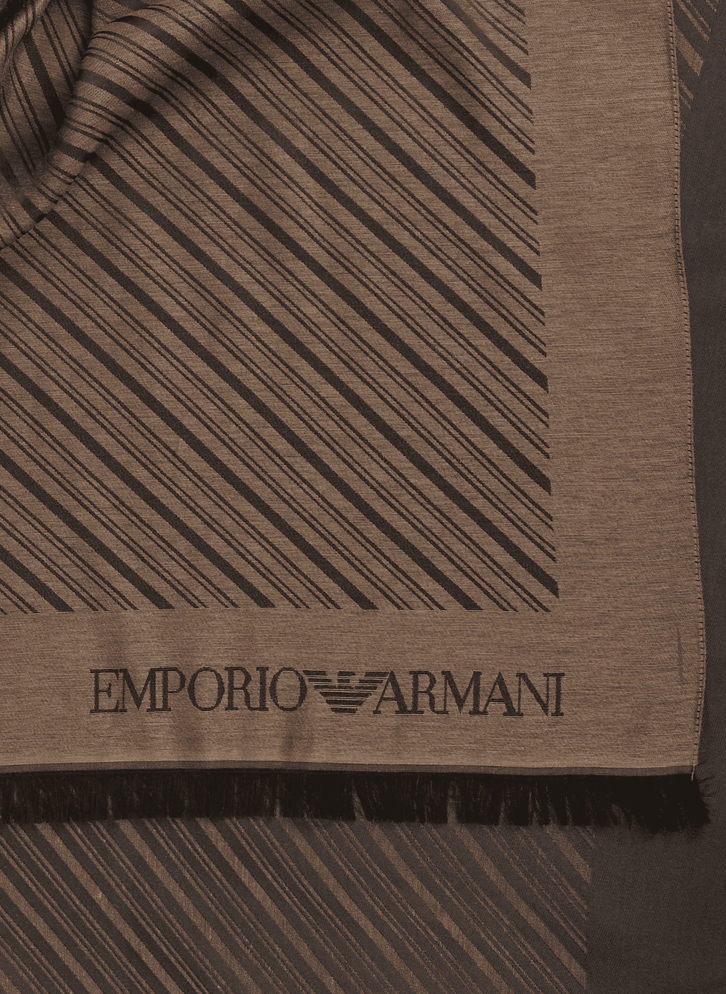 Gestreifter Schal mit Fransen EMPORIO ARMANI Braun
