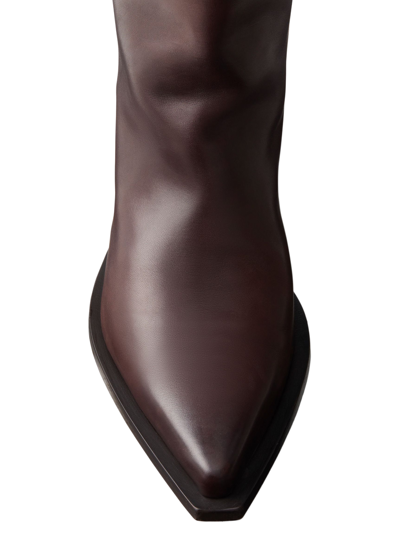 Cheer leather ankle boots CALVIN KLEIN COLLECTION Brown