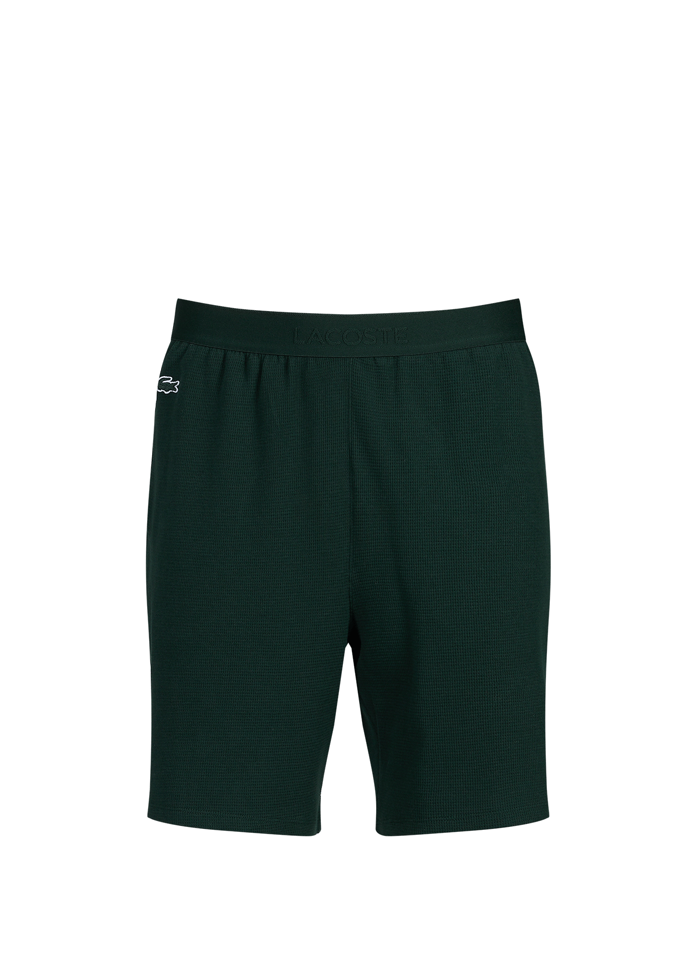 Rechte bermuda van katoen LACOSTE Groen
