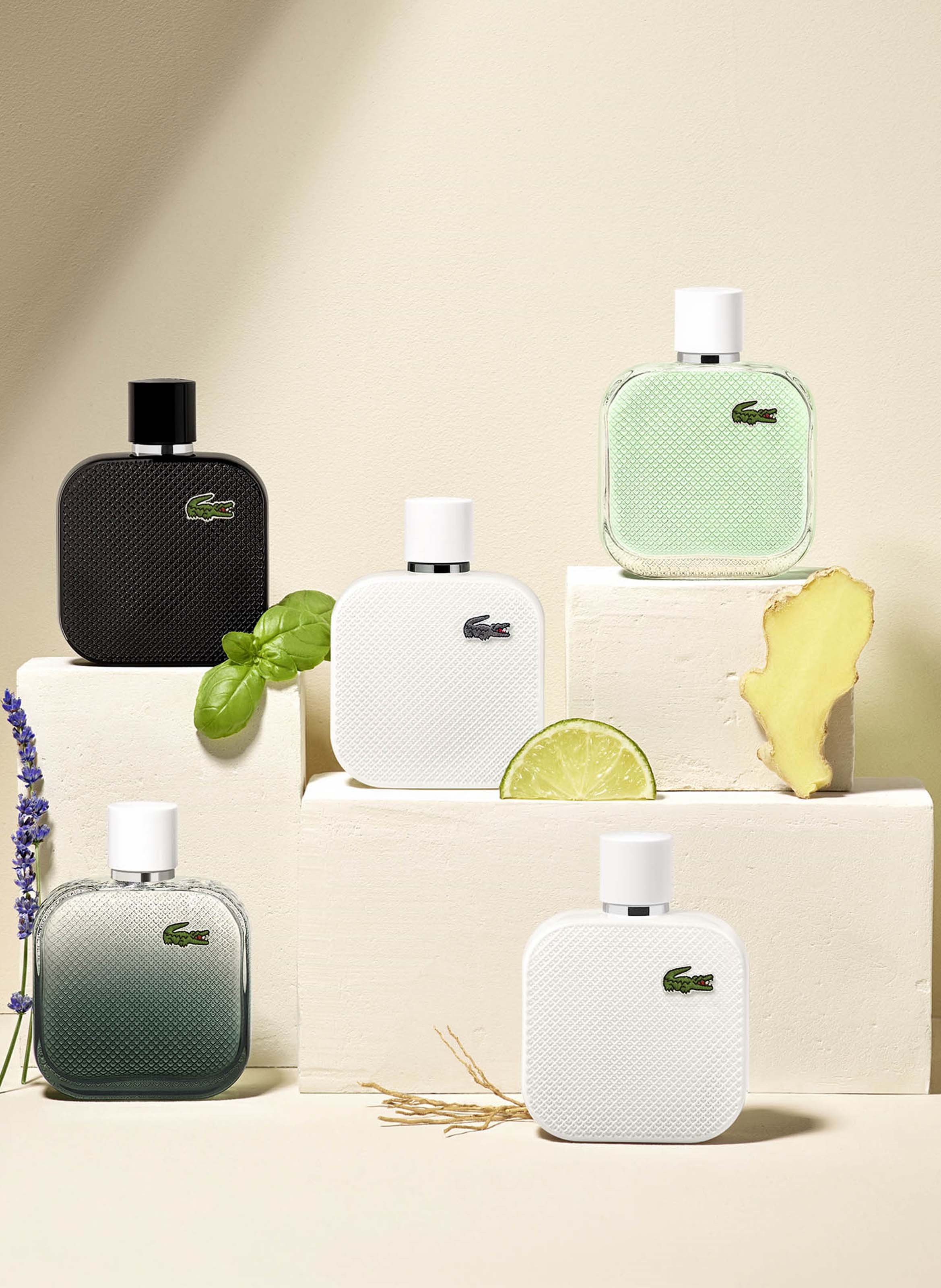 Eau de toilette - L.12.12 White Fresh Water LACOSTE No color