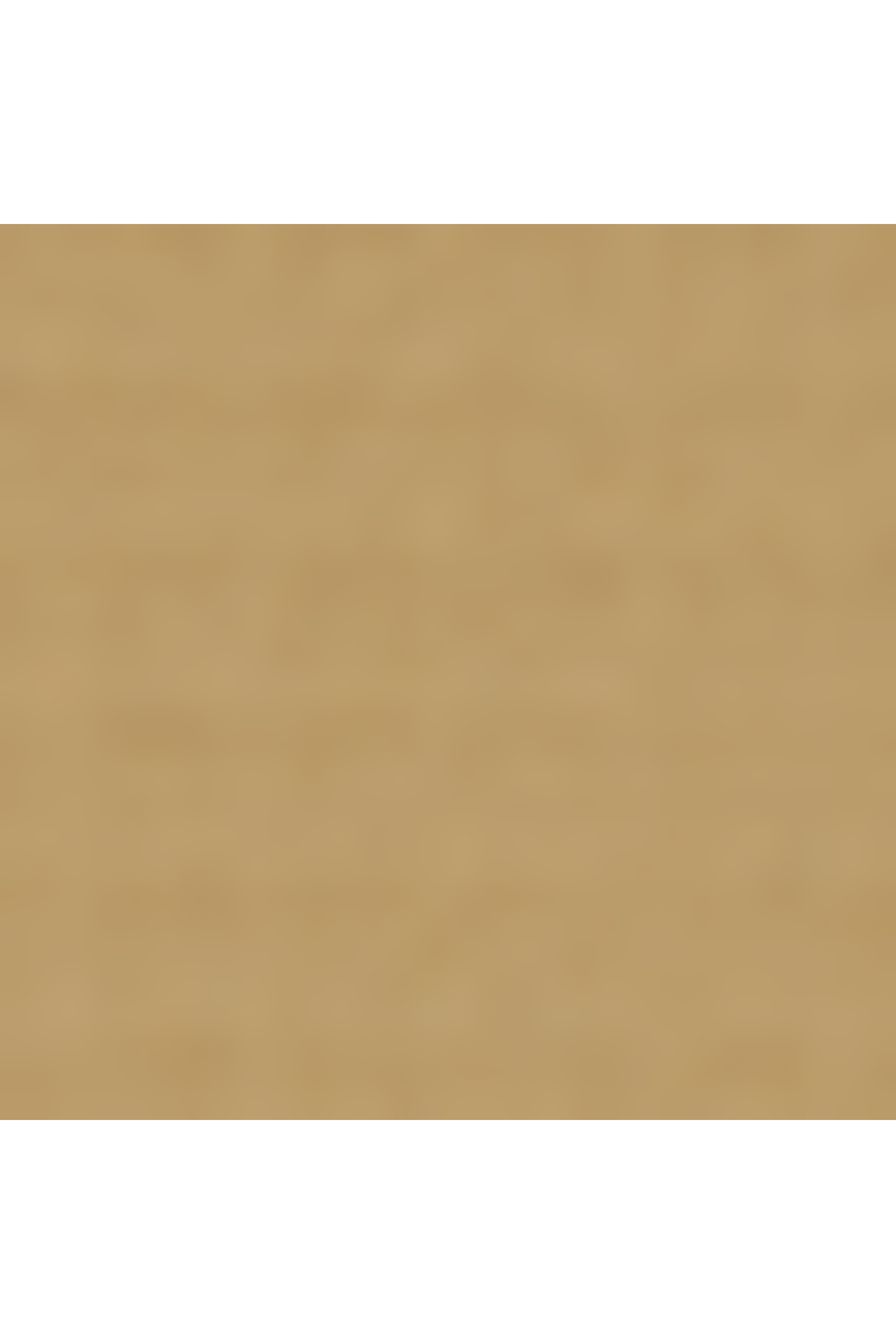 Alpha bravo sac de voyage à roues taille s TUMI Kaki