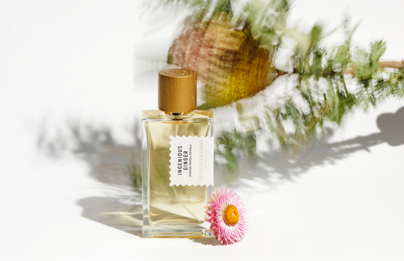 https://media-cdn.printemps.com/image/26/5/9161265.png