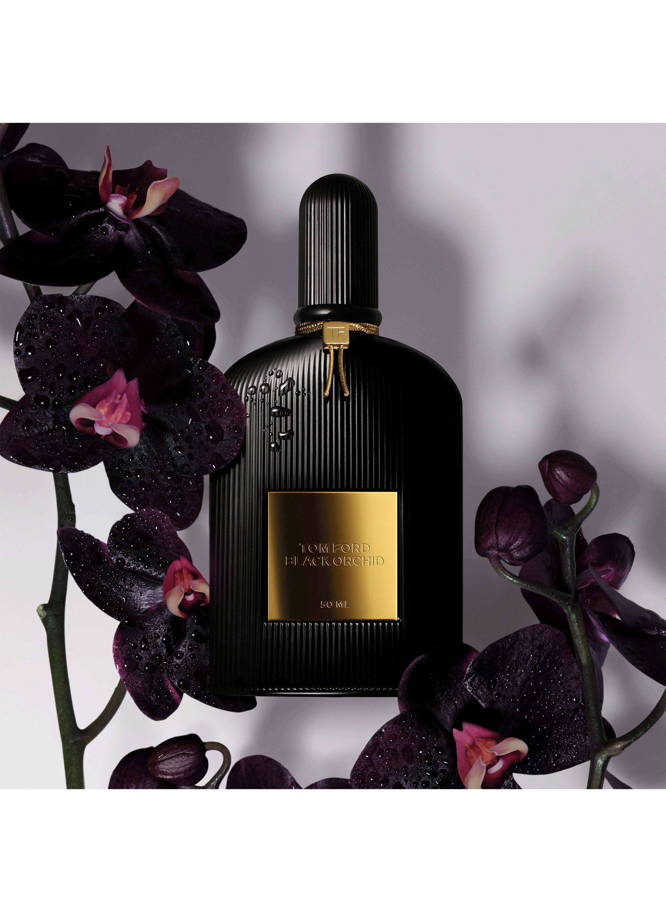 Black Orchid eau de parfum TOM FORD No color