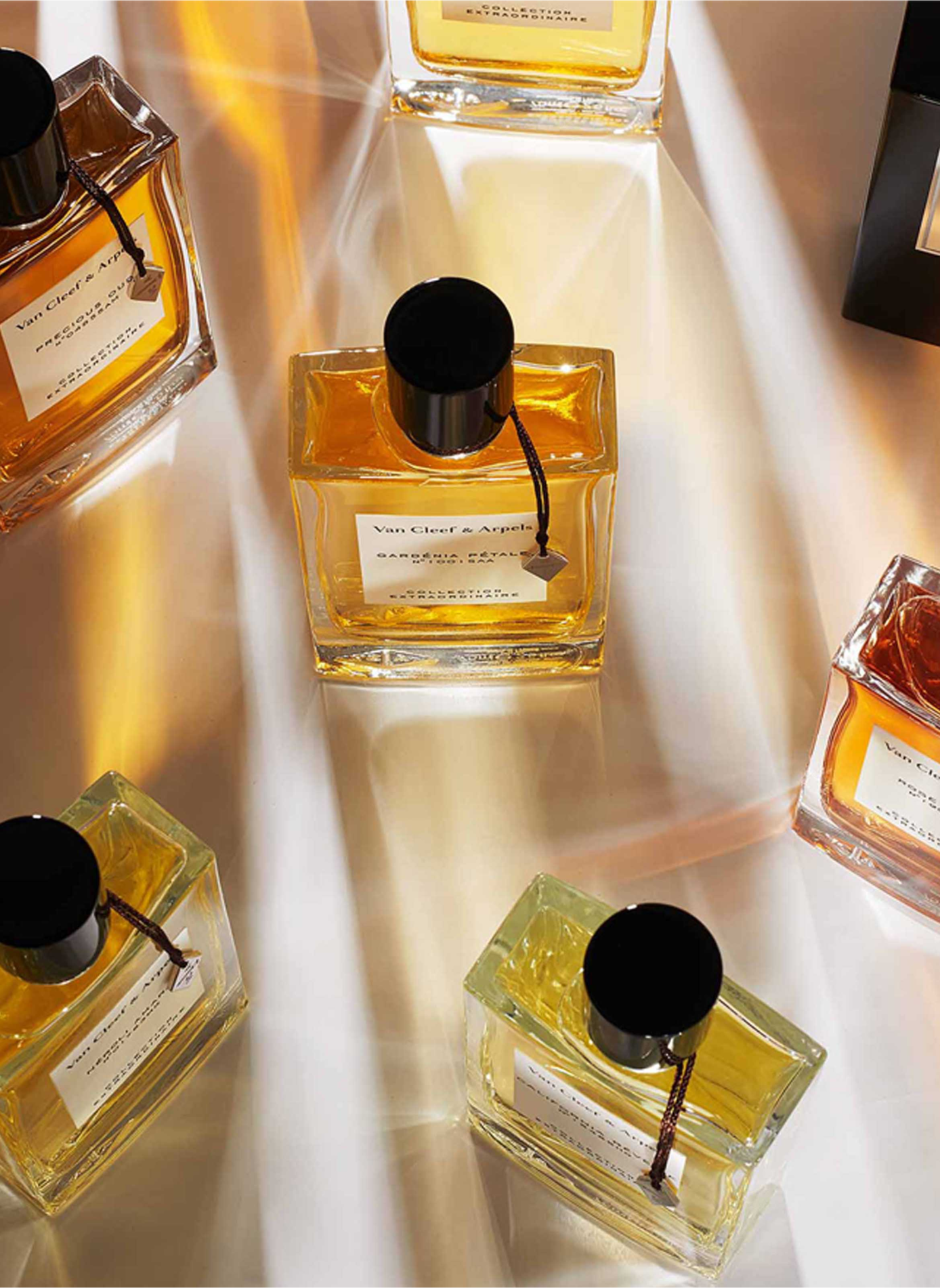 Night Flower VAN CLEEF & ARPELS No color