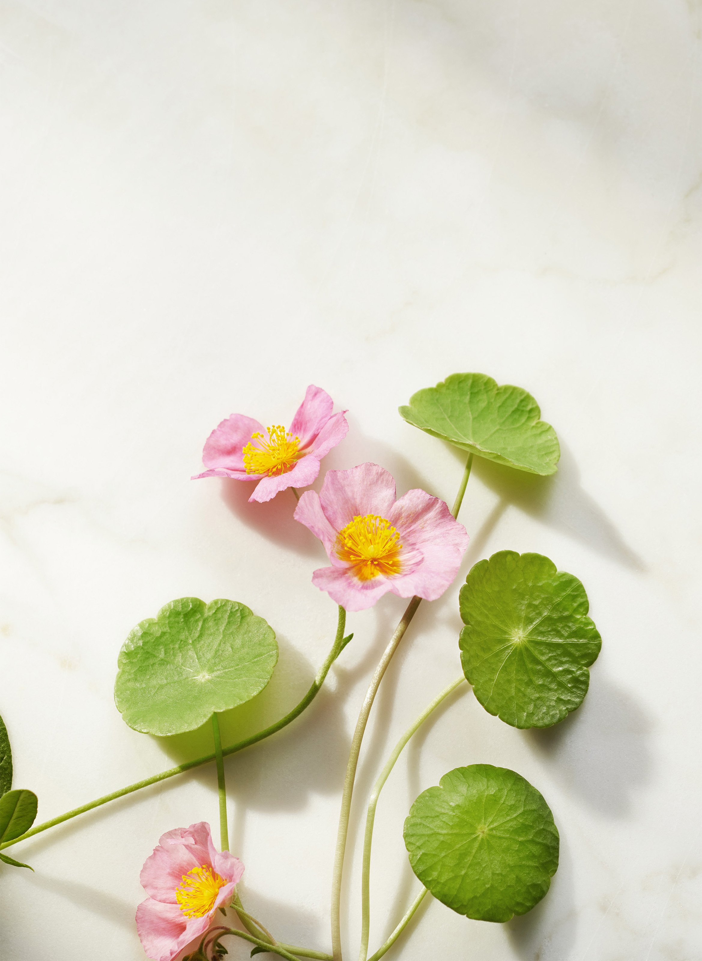 The Ritual of Namaste - anti-ageing night cream RITUALS No color