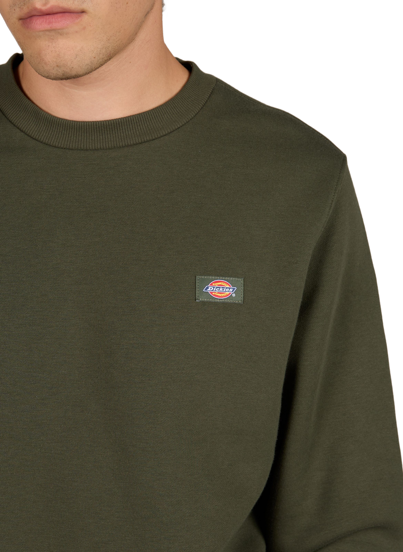 Sweater Oakport S recht in gemengd katoen DICKIES Groen
