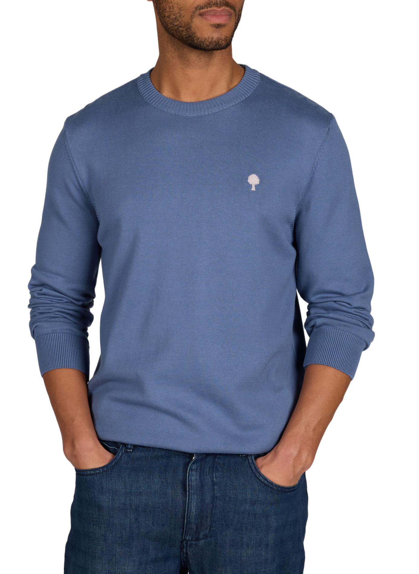 Round neck cotton sweater with logo embroidery FAGUO Blue