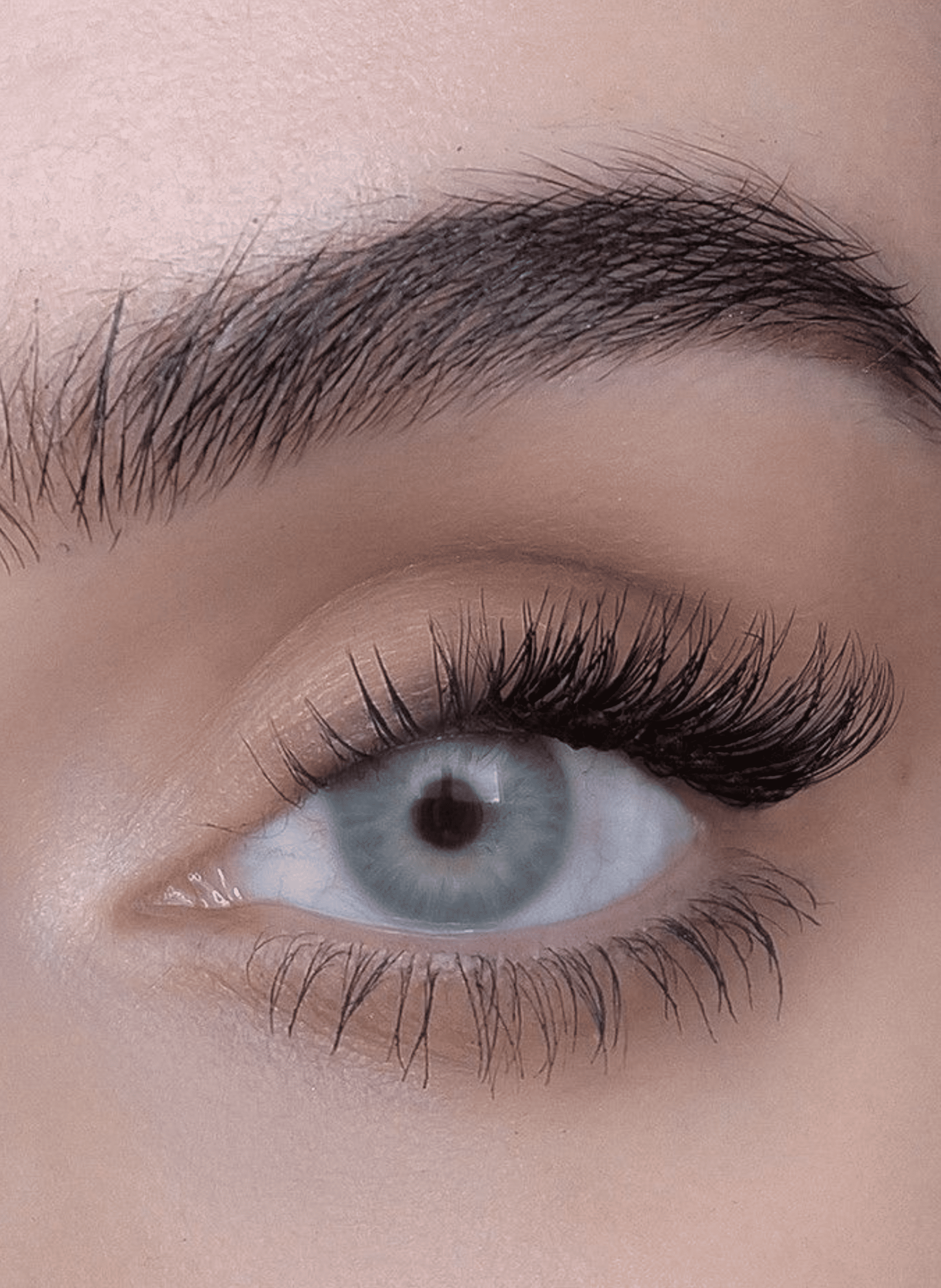 Tête à Tête SWEED No color