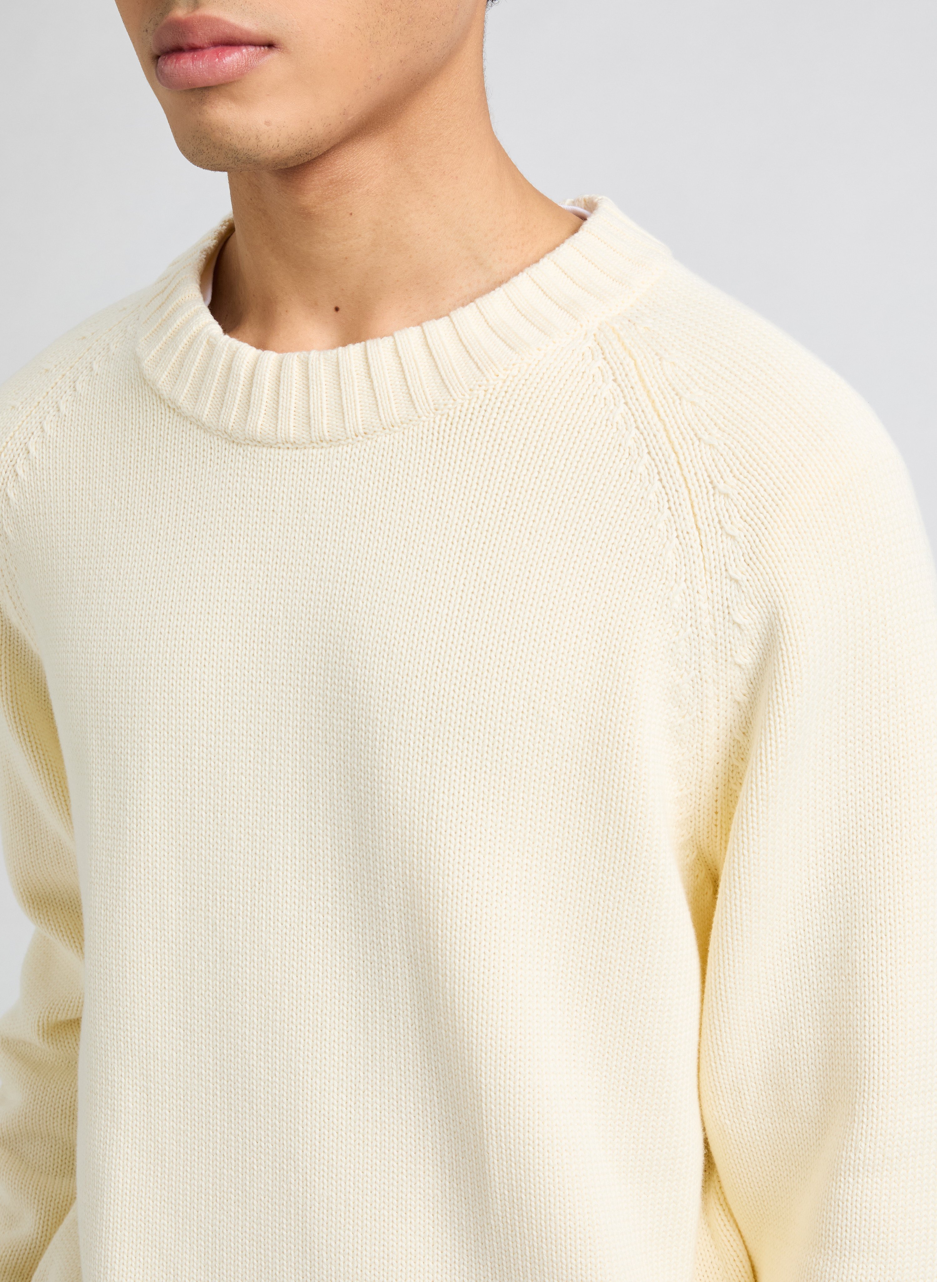 Pull en coton SAISON 1865 Beige