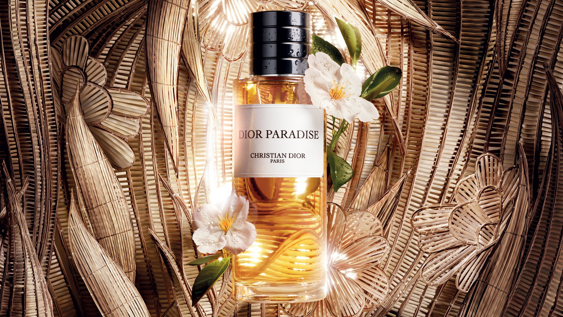 edito-magasins-dior-paradise juillet 2026