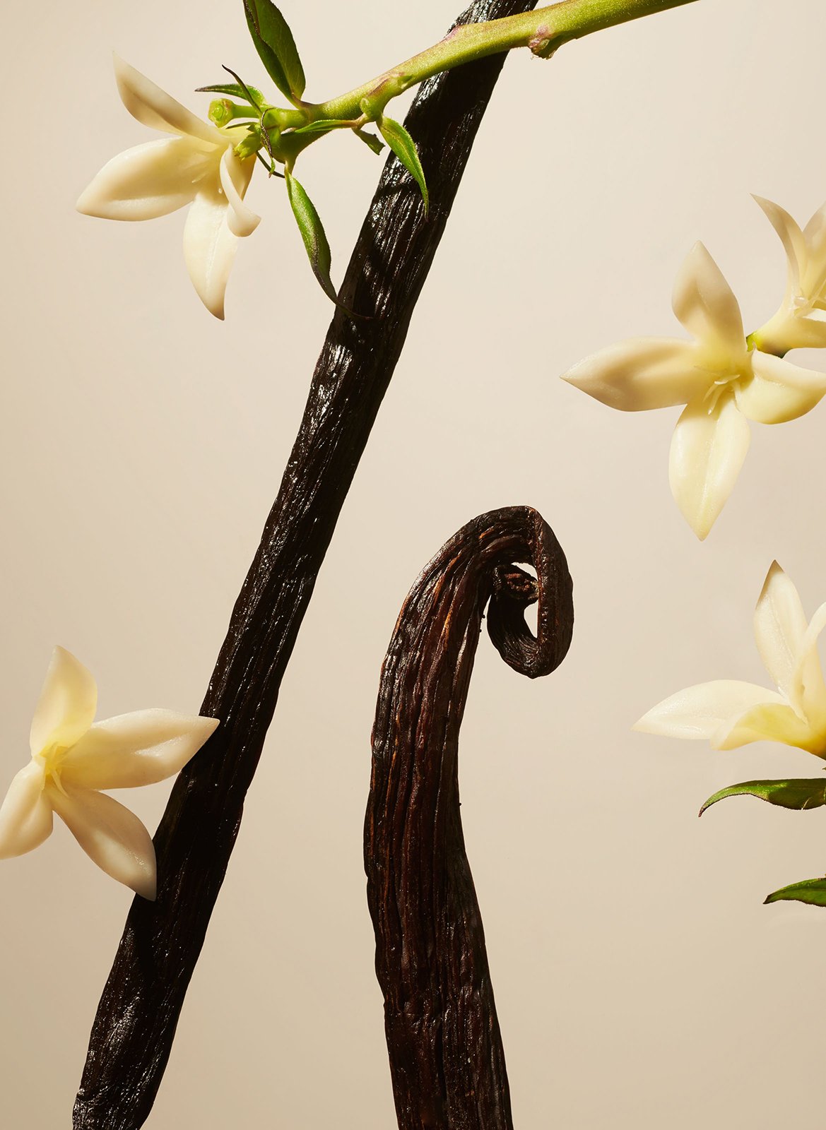 Suede Vanilla - XL scented candle RITUALS No color