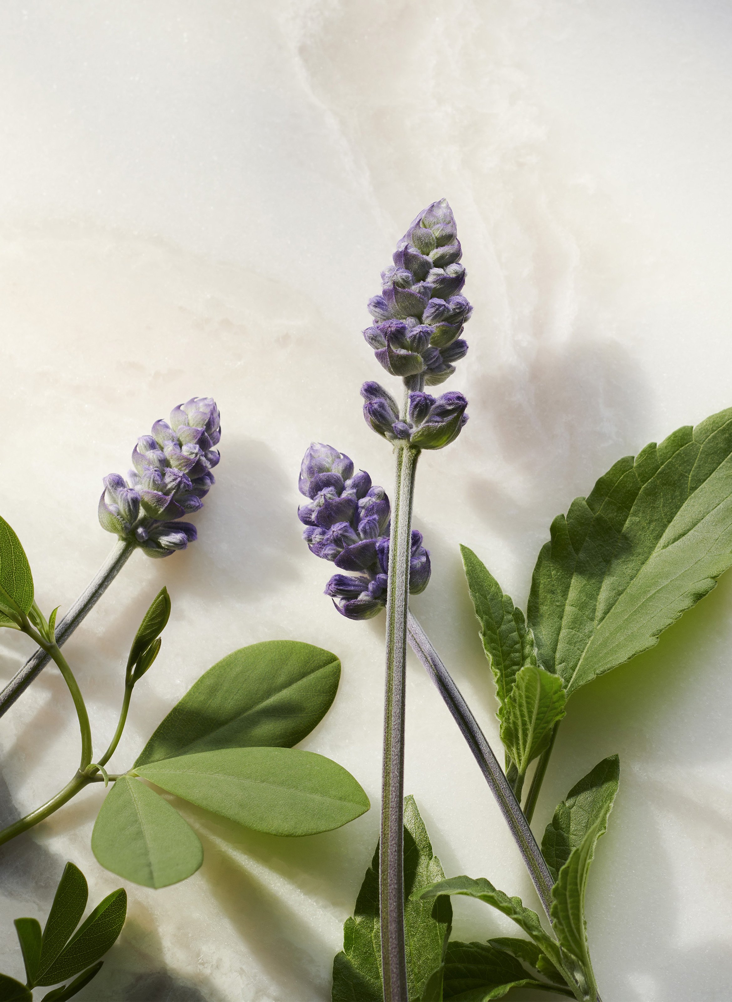 The Namaste Ritual - Anti-Aging Serum RITUALS No color